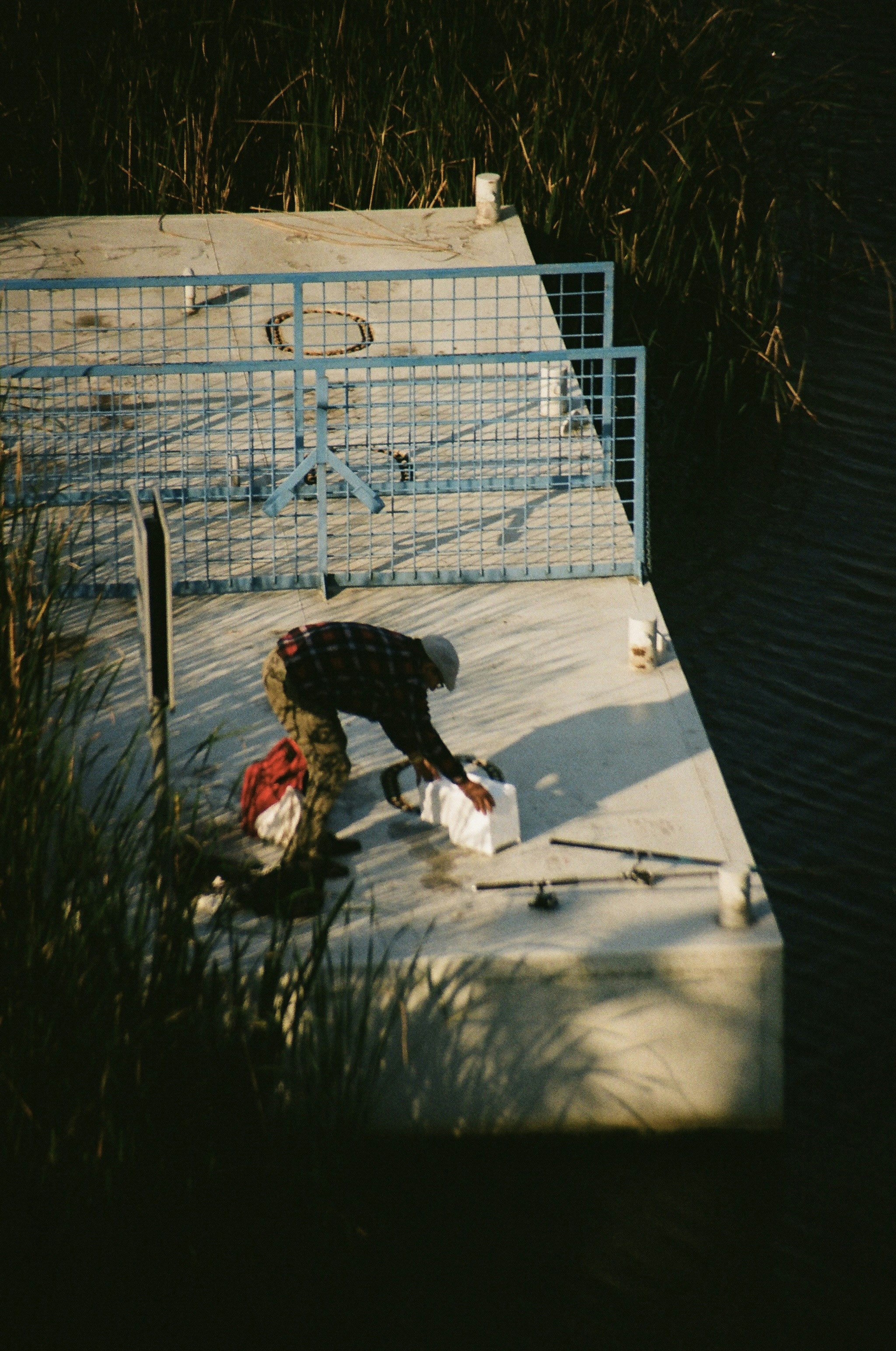 Illustration of a retriever assisting a handler during daily activities