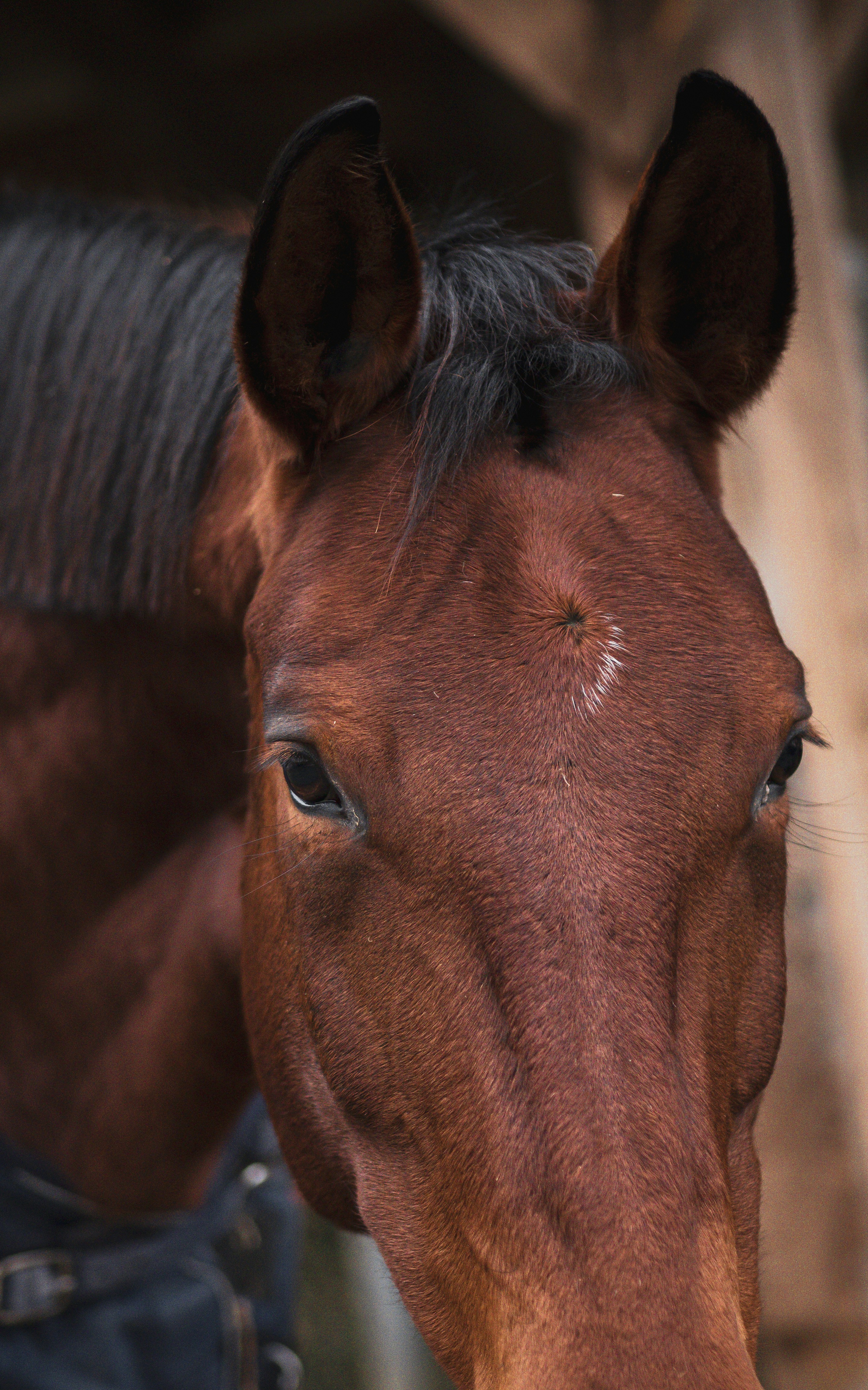 Photo by anna_c_wilhelm