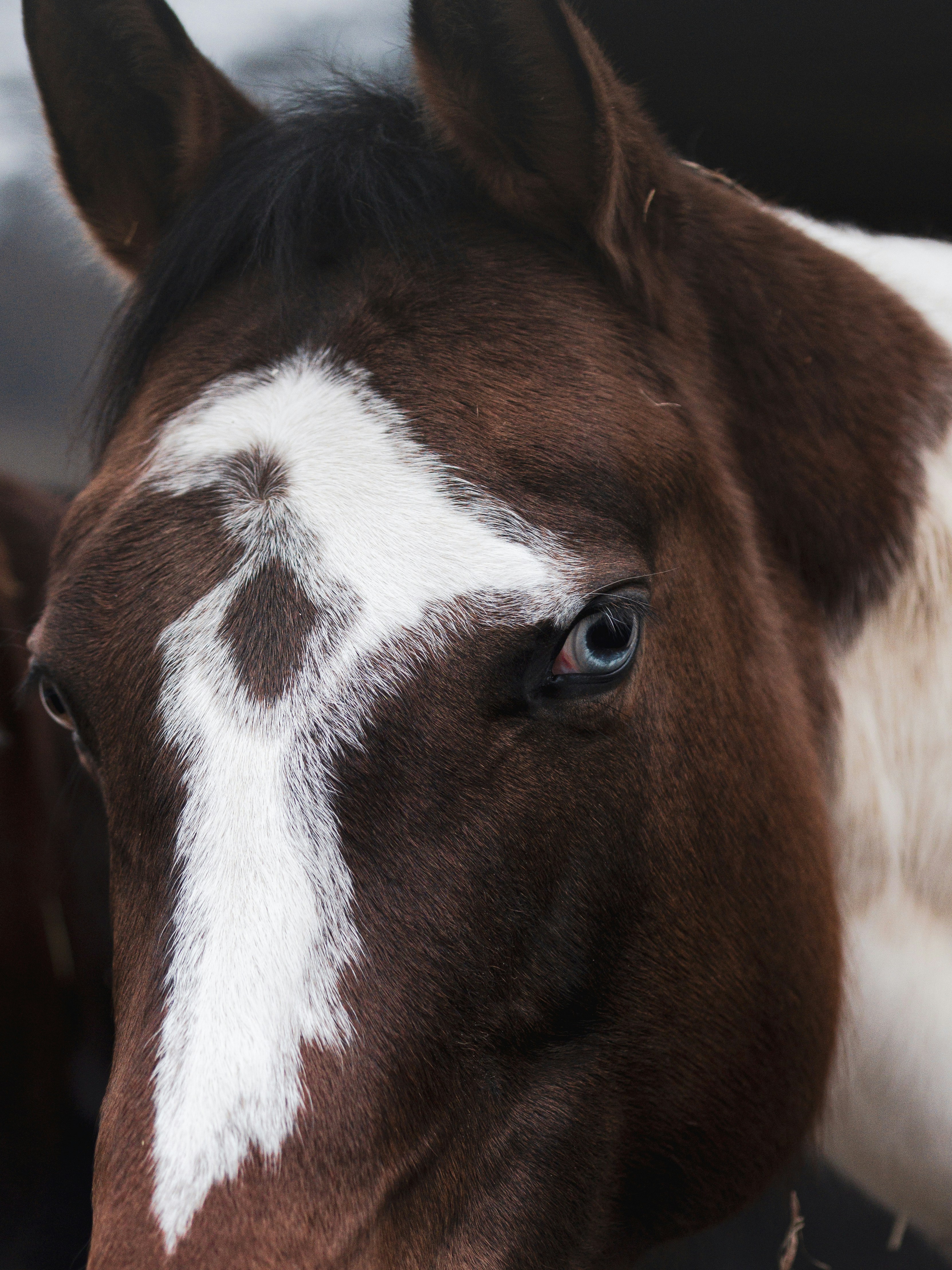 Photo by anna_c_wilhelm