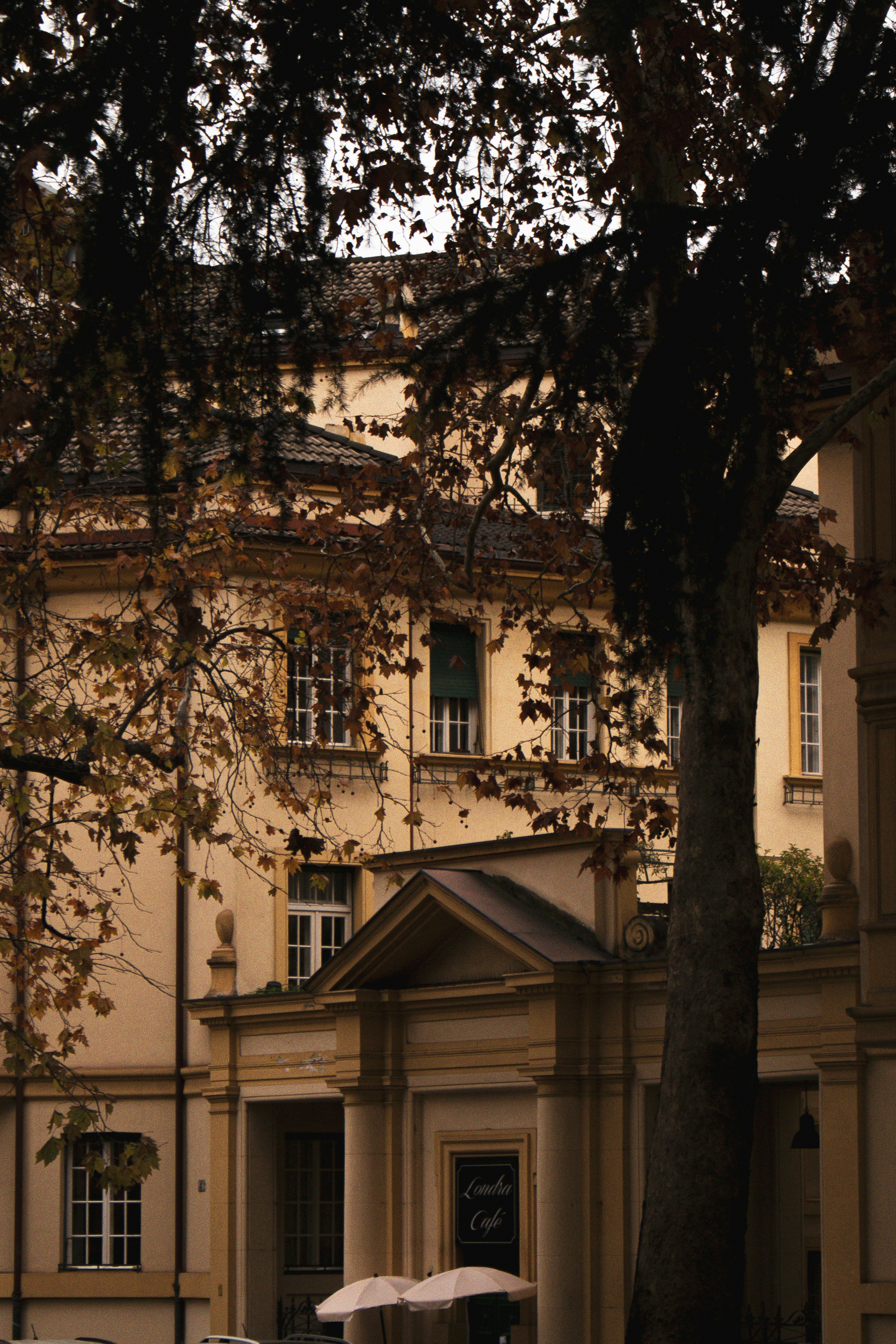 Photo by anna_c_wilhelm