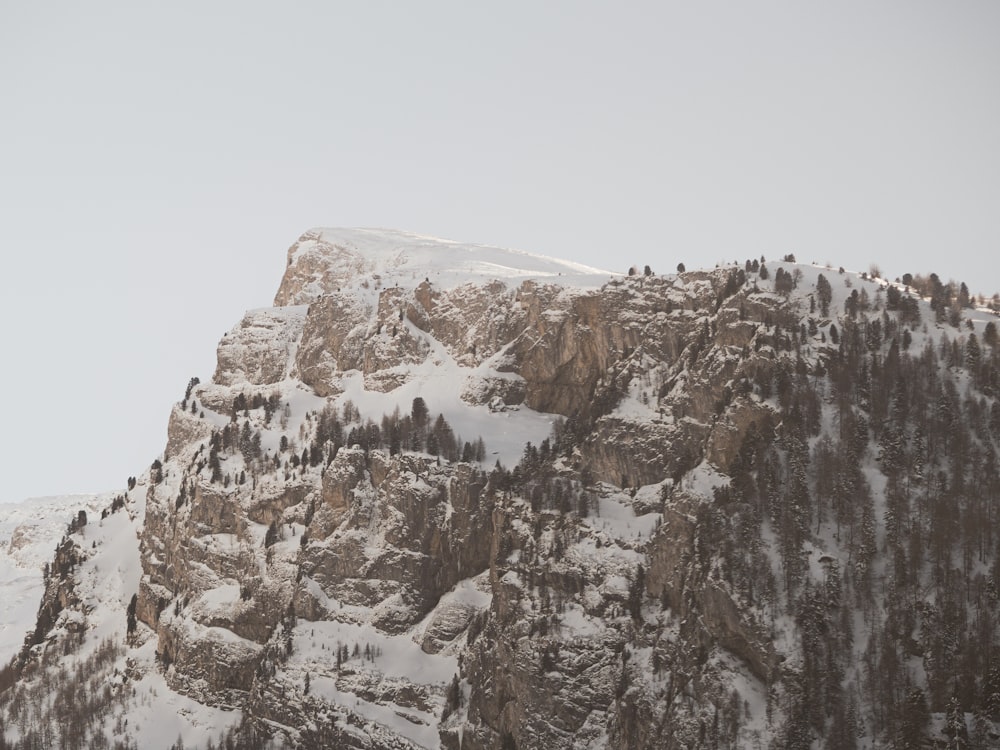 a mountain covered in snow with trees on top of it