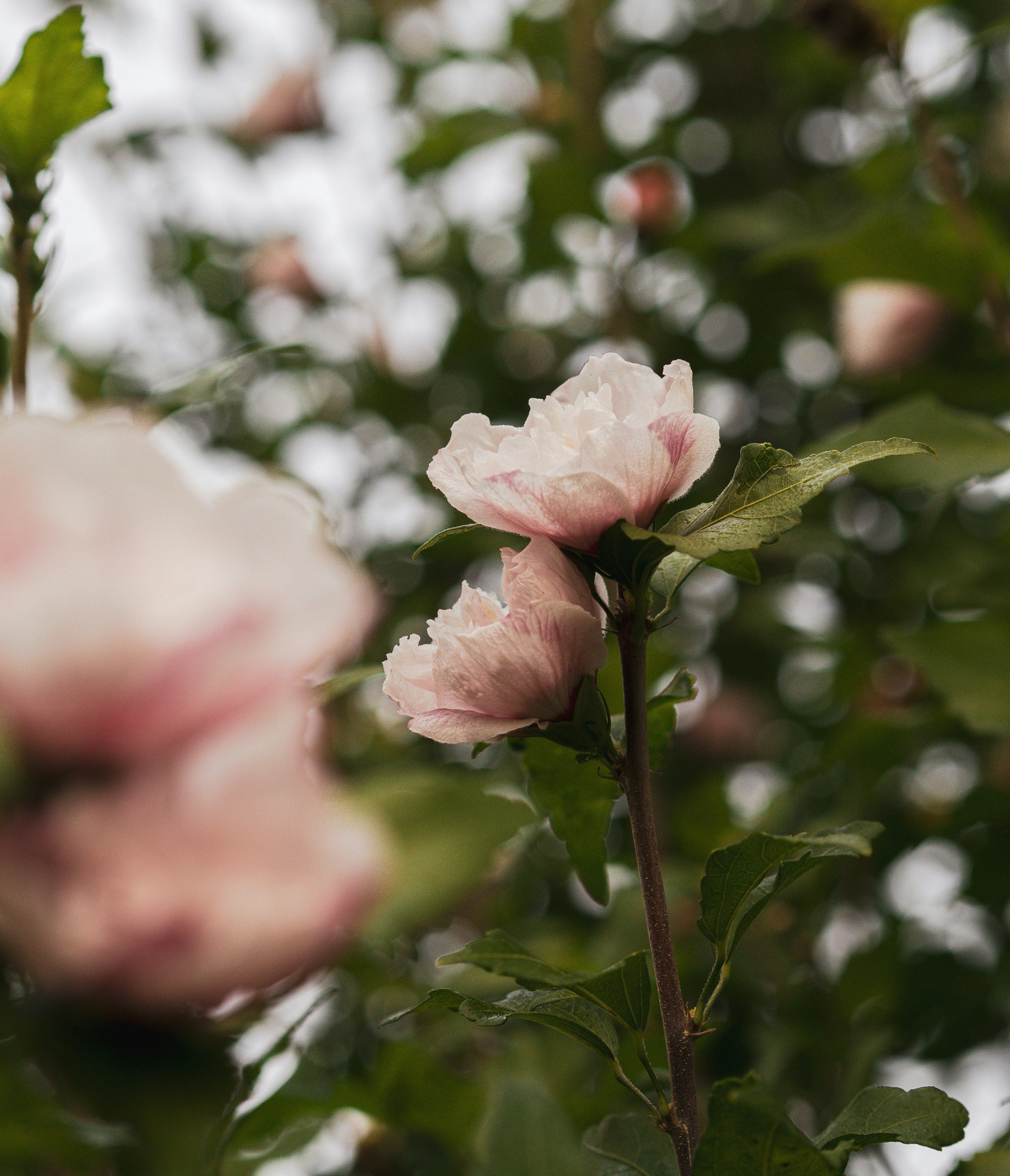 Photo by anna_c_wilhelm