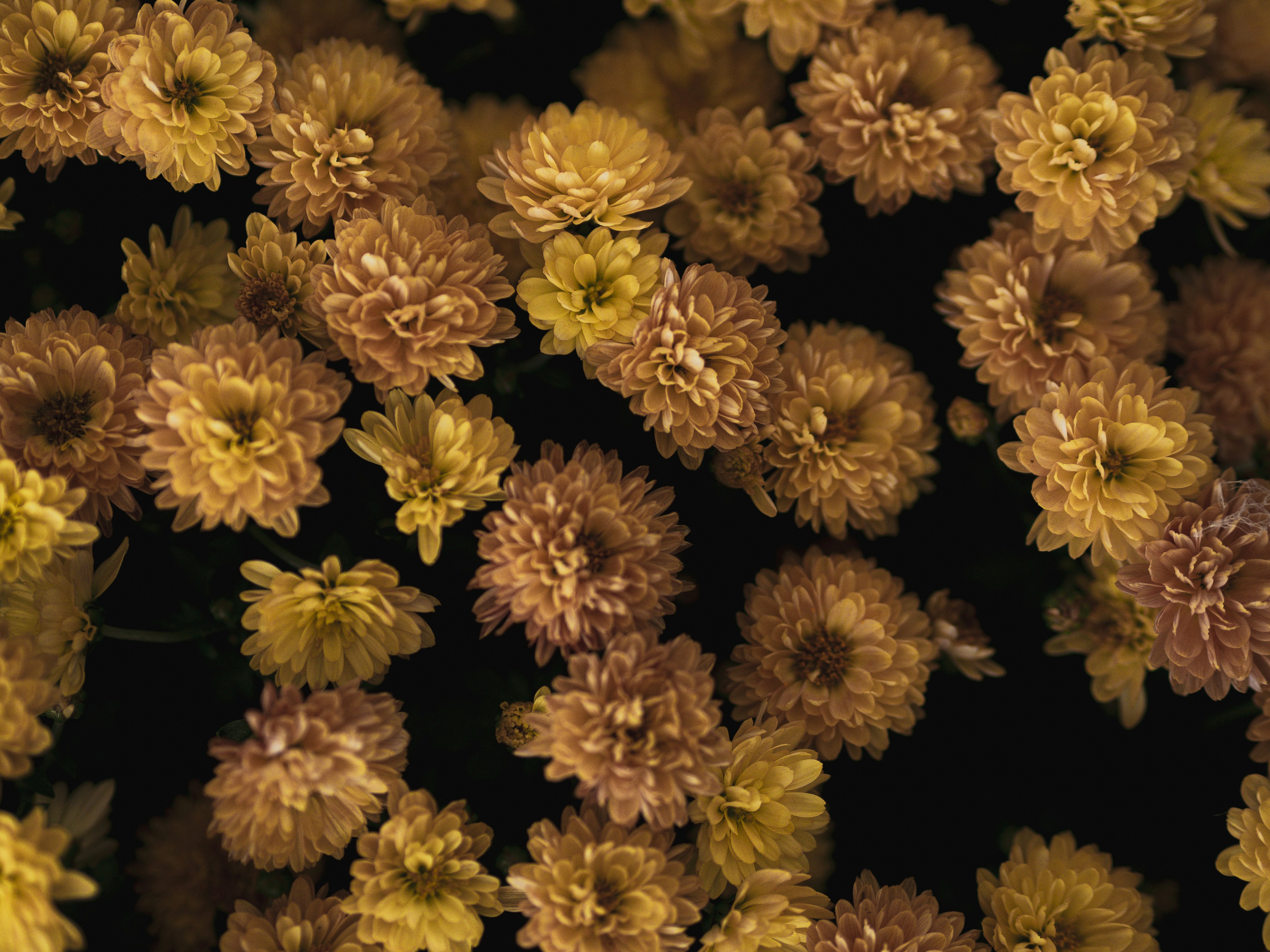 Photo by anna_c_wilhelm