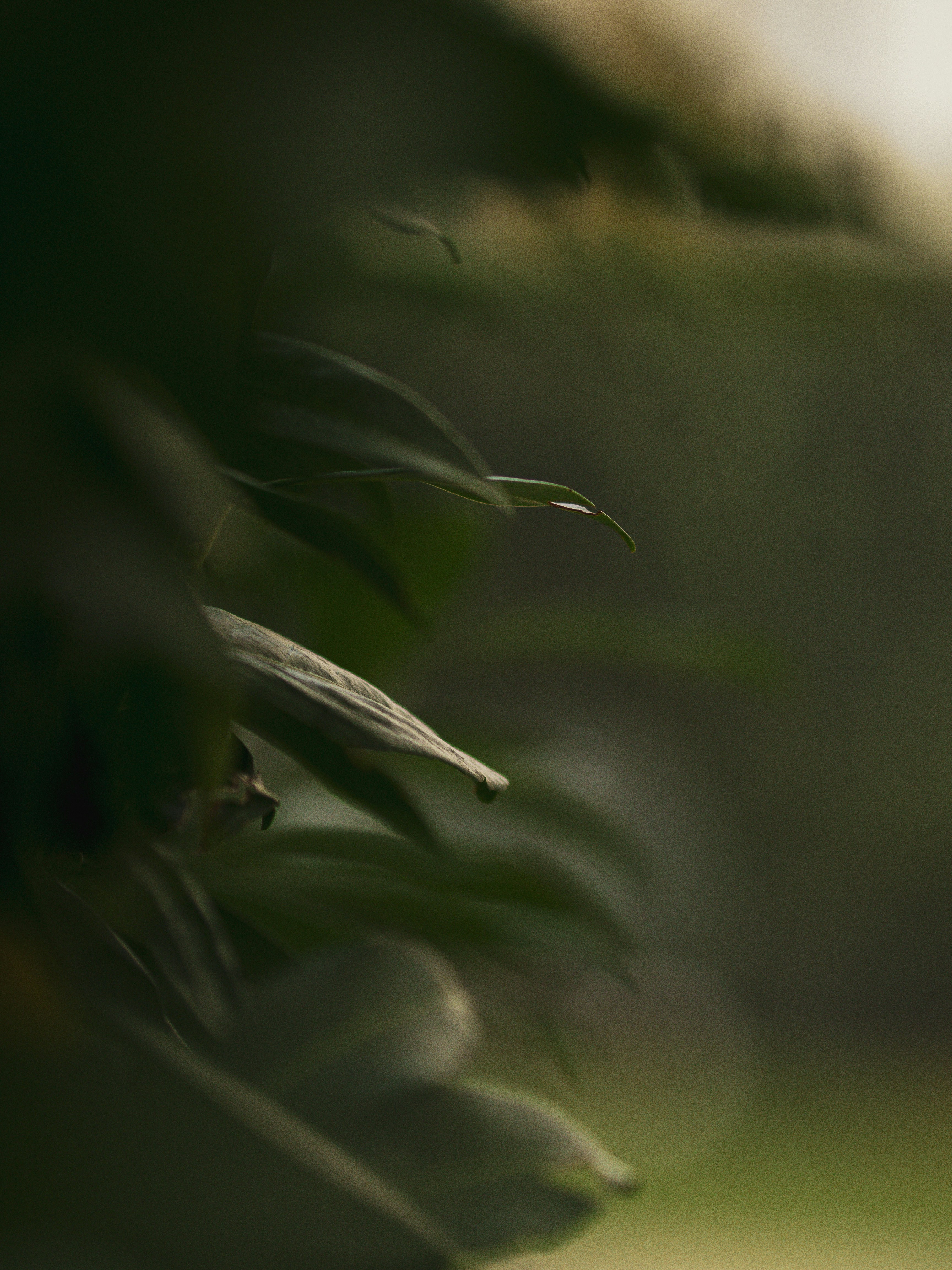 Photo by anna_c_wilhelm