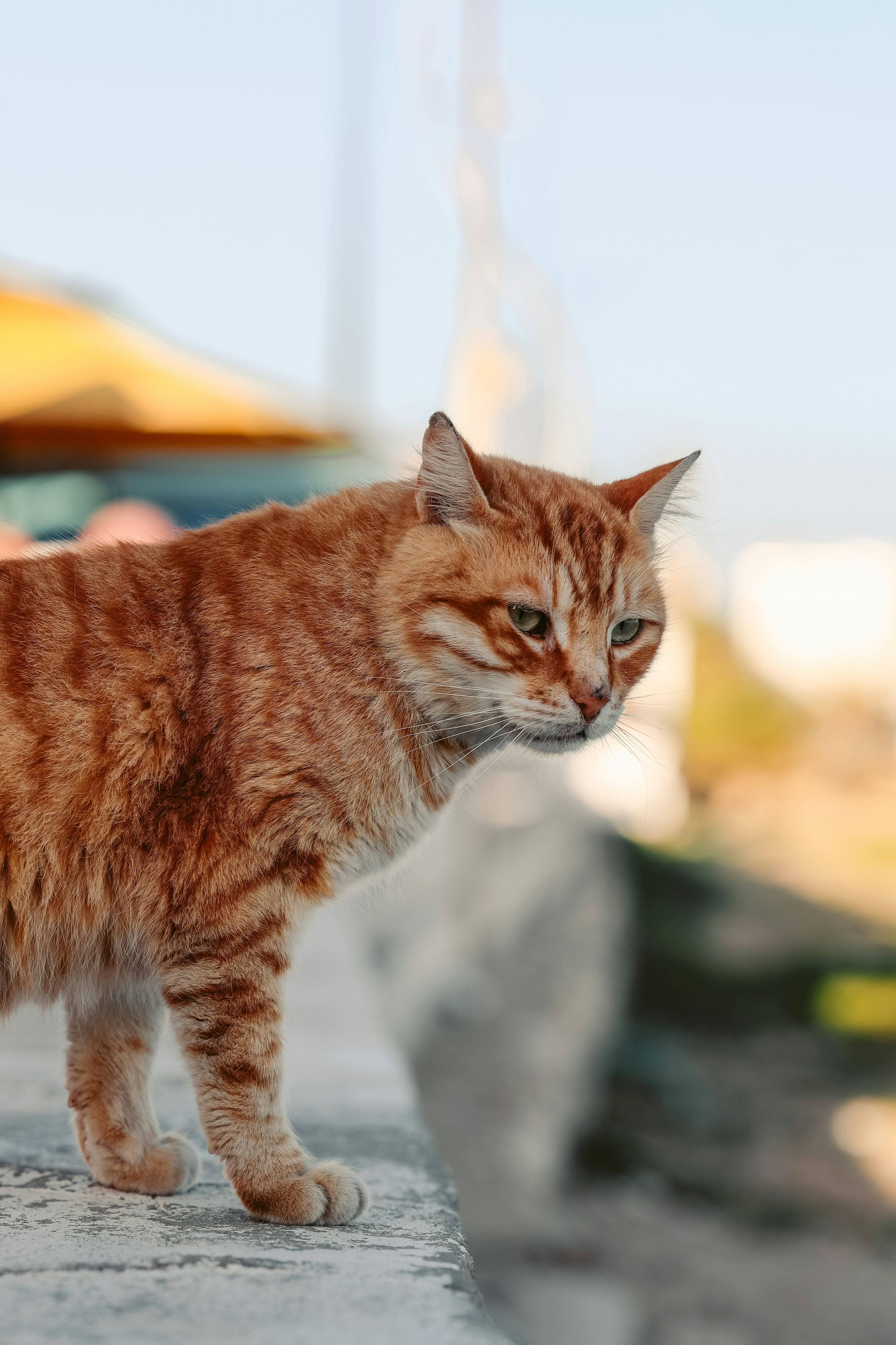 Photo by himo_beast1996