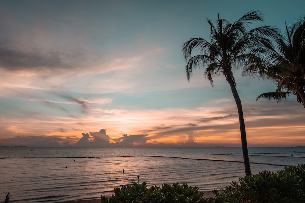 a sunset over the ocean with palm trees