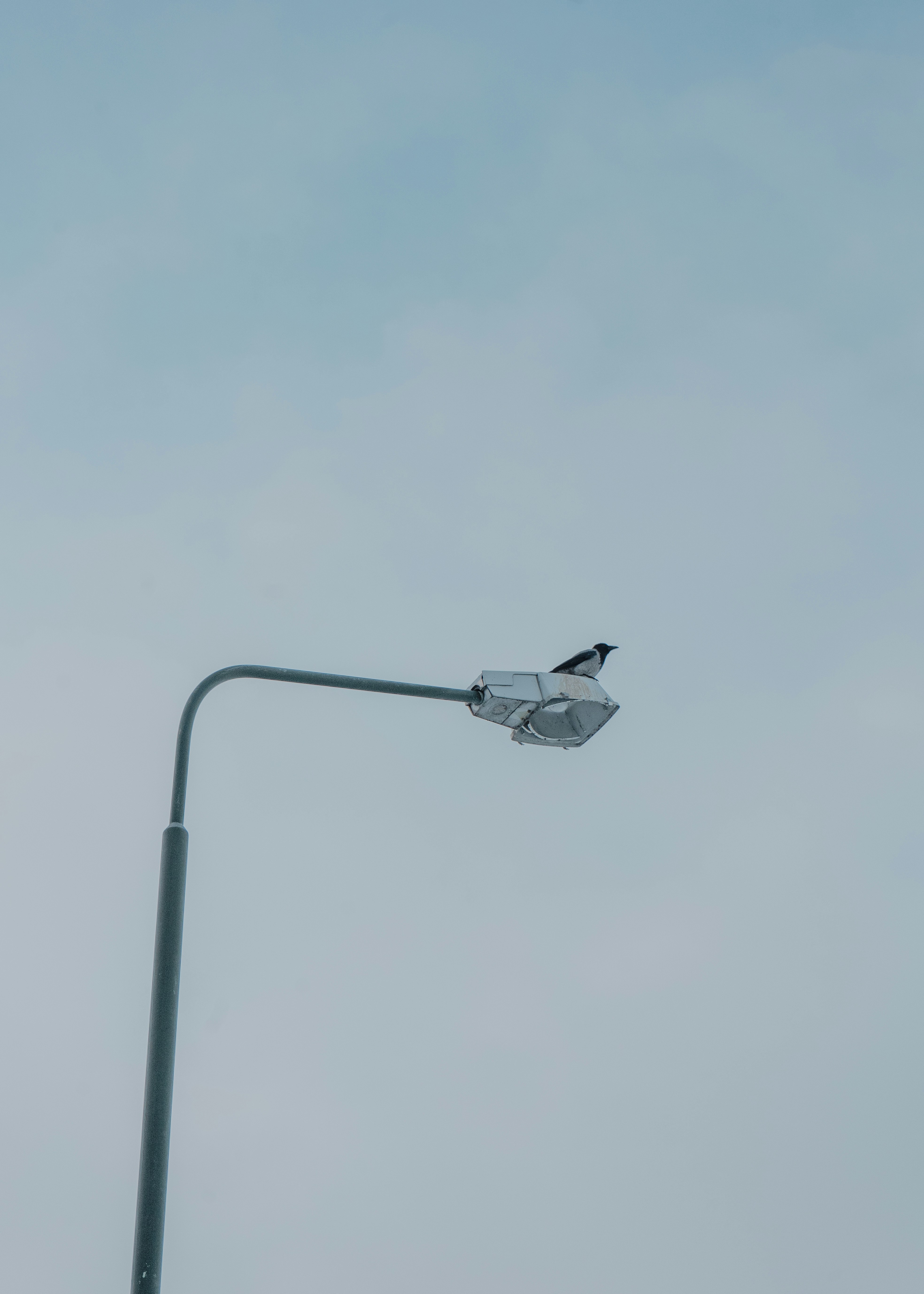 Photo by karthickgislen