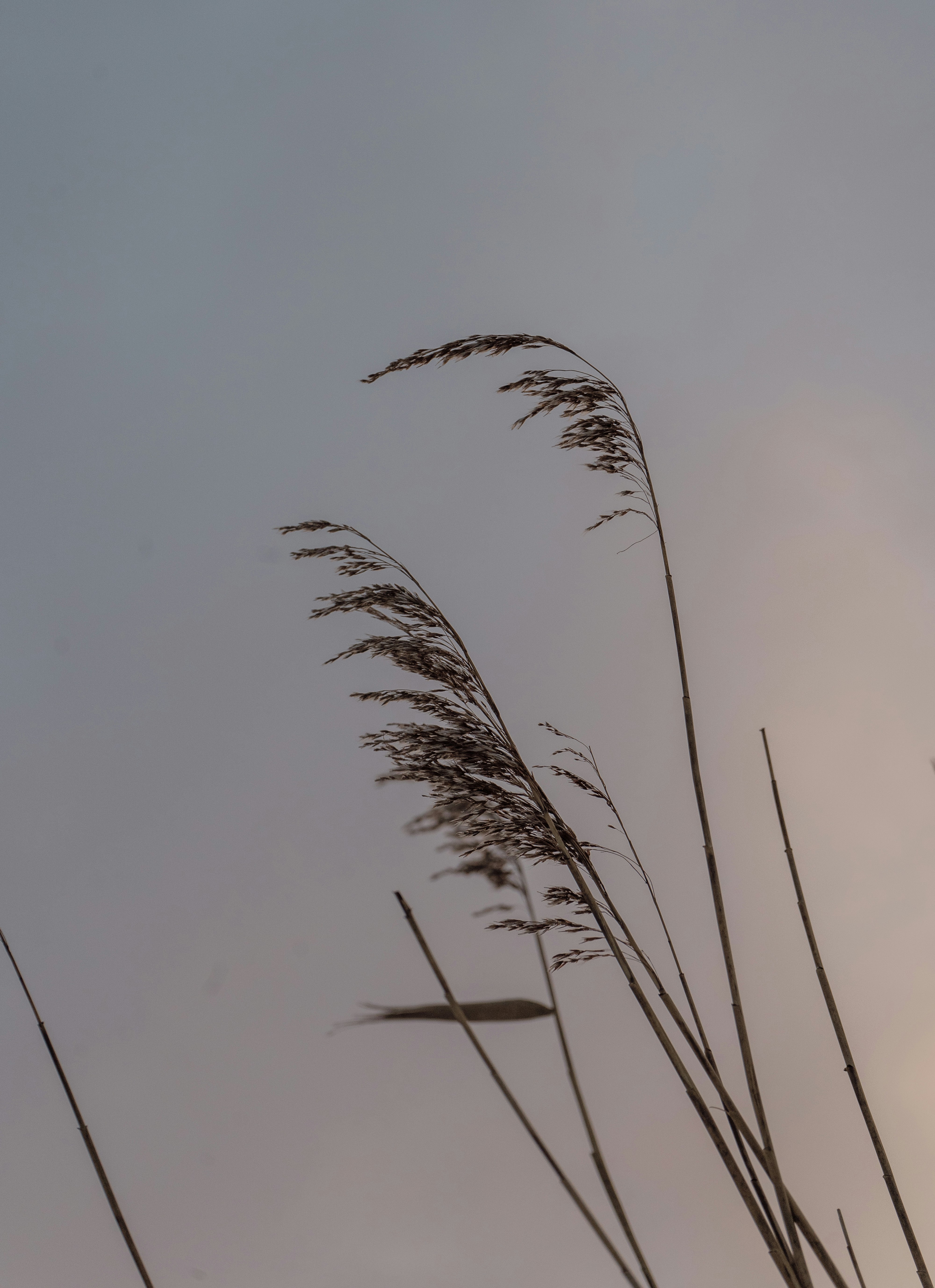 Photo by karthickgislen