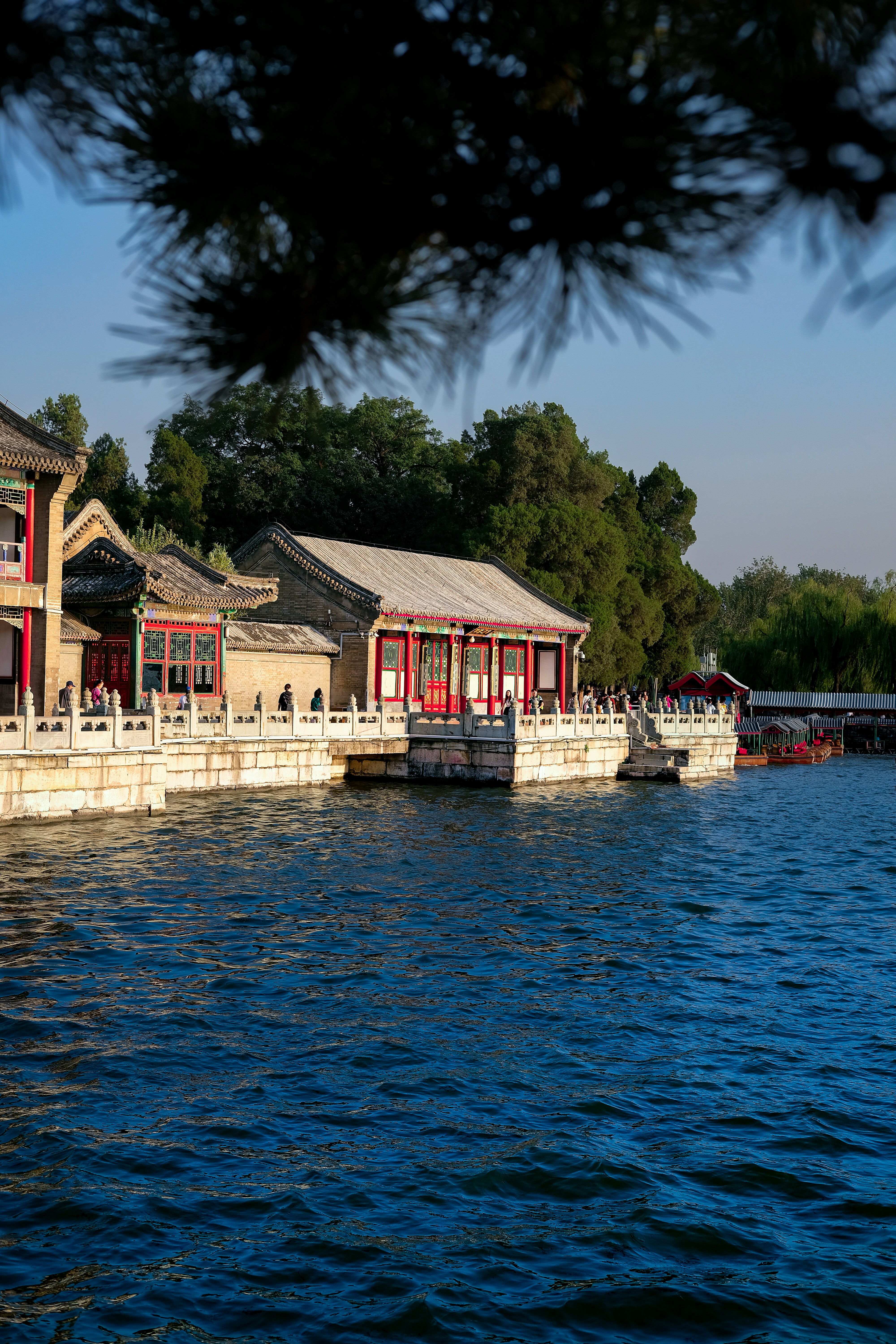 Photo by ferric_brain