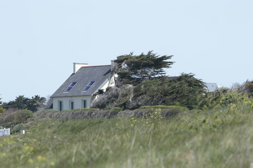 a house on a hill with a tree on top of it