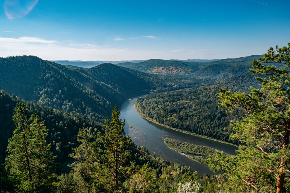 a river flowing through a lush green forest