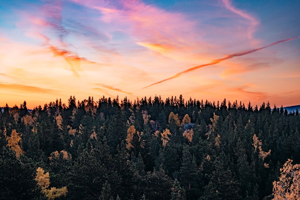 a beautiful sunset over a forest with trees