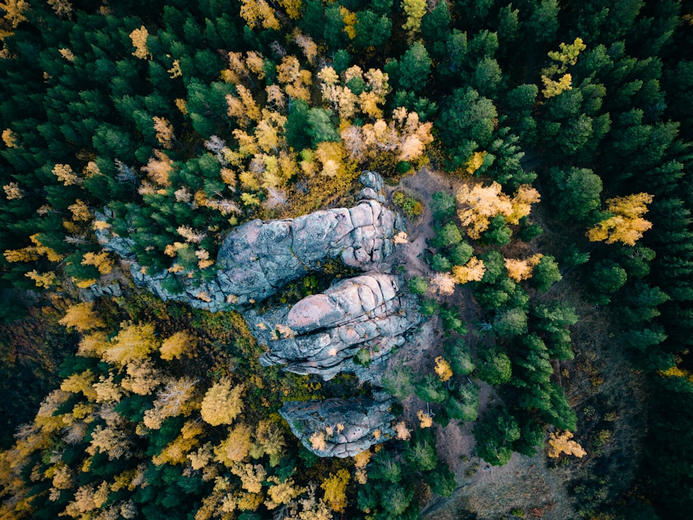 an aerial view of a rocky outcropping surrounded by trees