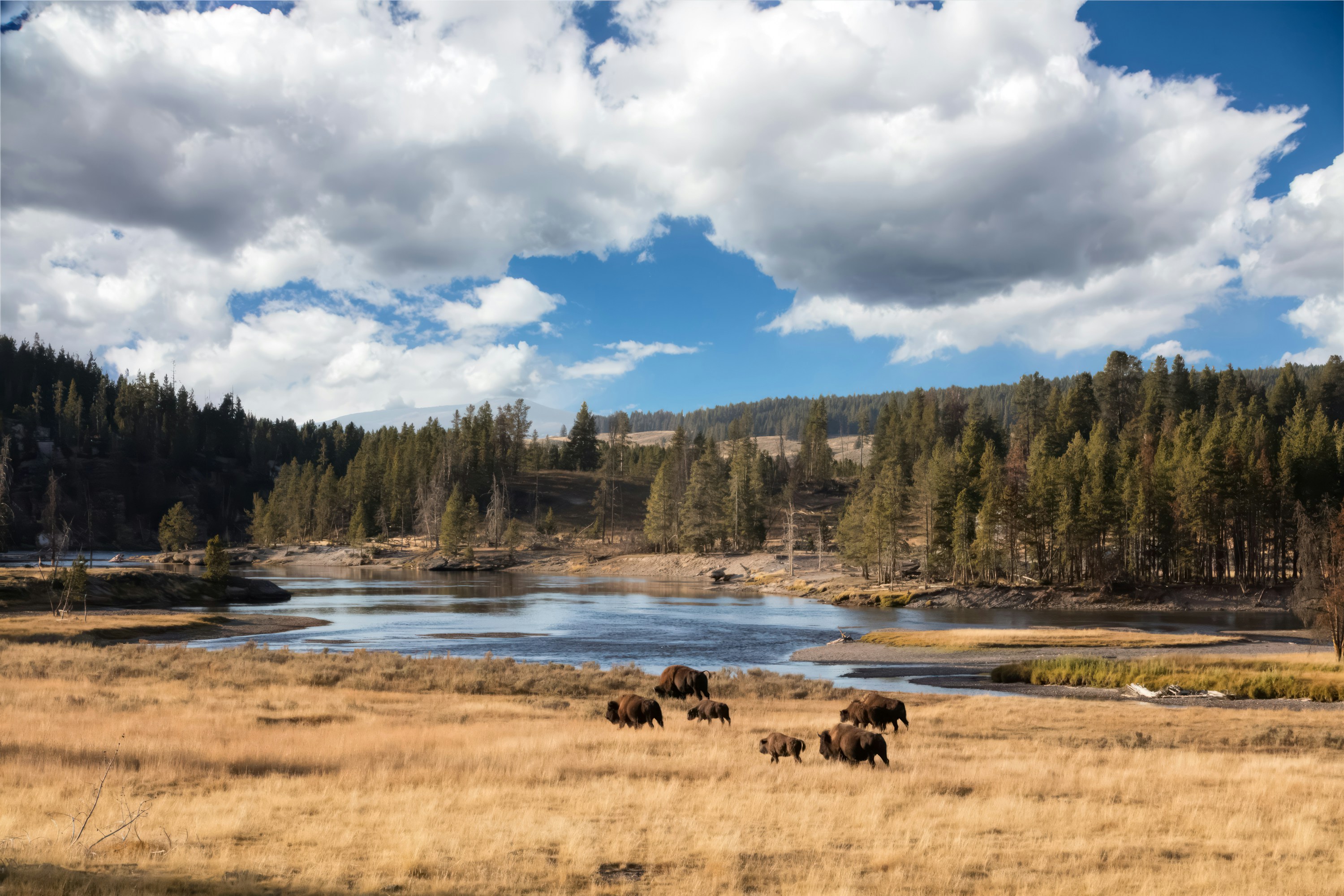 Photo by carolhighsmith