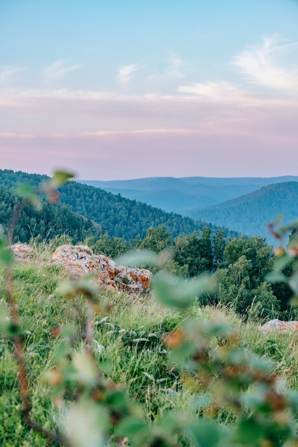 a sheep standing on top of a lush green hillside