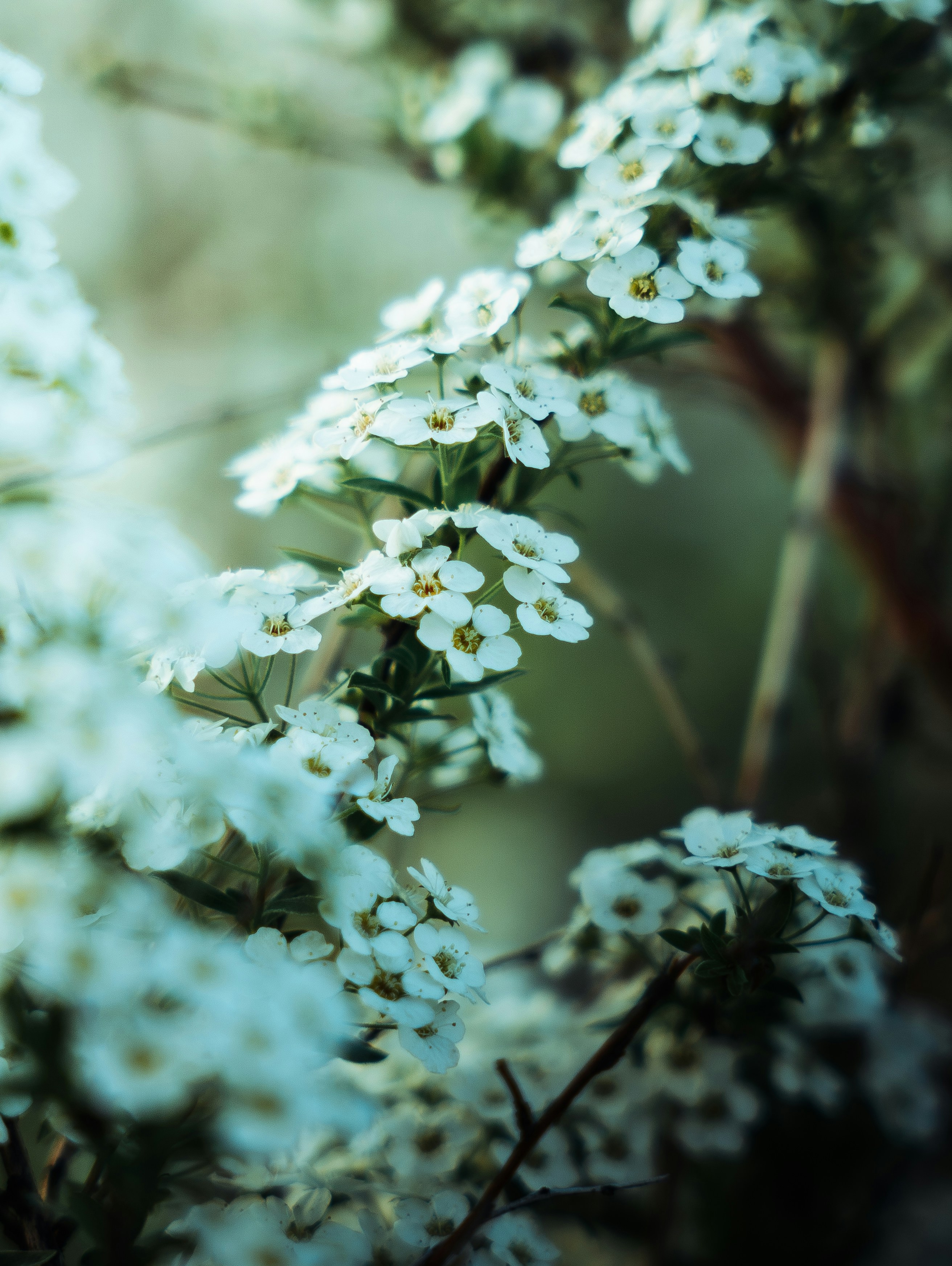 Photo by gibadullin_r