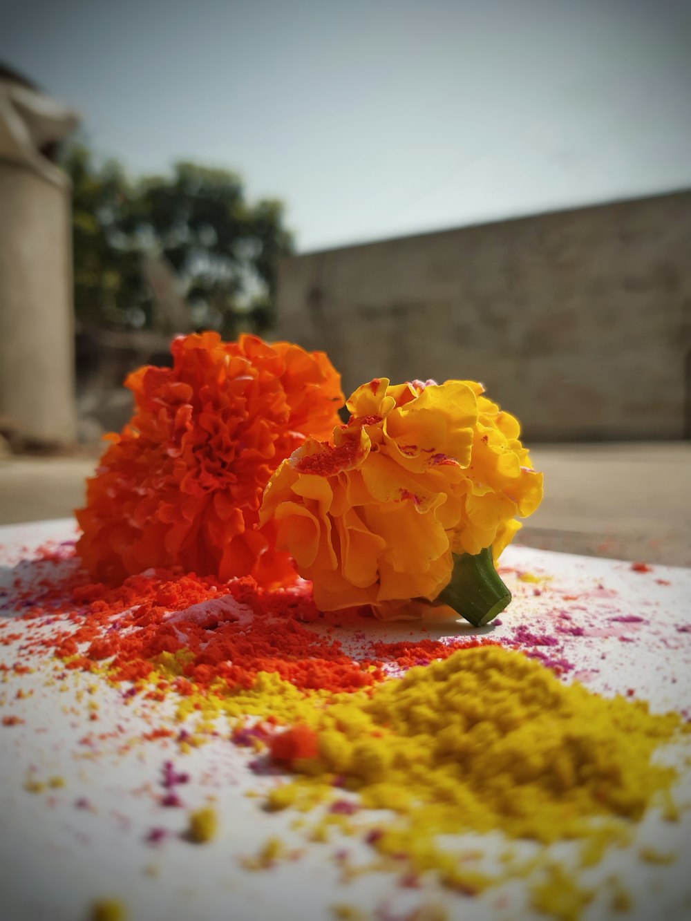 a bunch of flowers that are sitting on a table