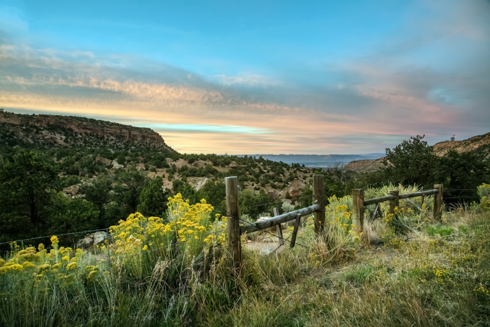 콜로라도주 메사 카운티(Mesa County)의 우나윕 캐년(Unaweep Canyon)에 황혼이 내려앉습�니다