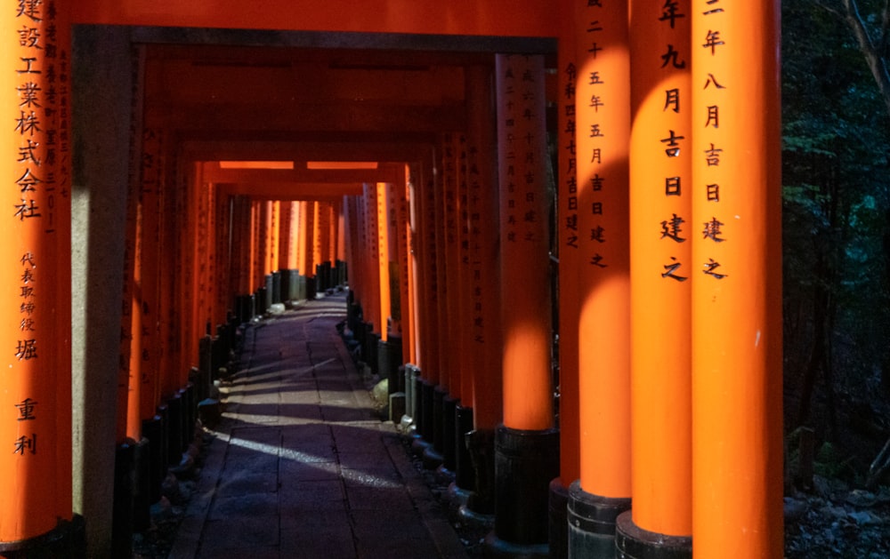 a row of orange tori tori tori tori tori tori tori tori tori tori tori tori