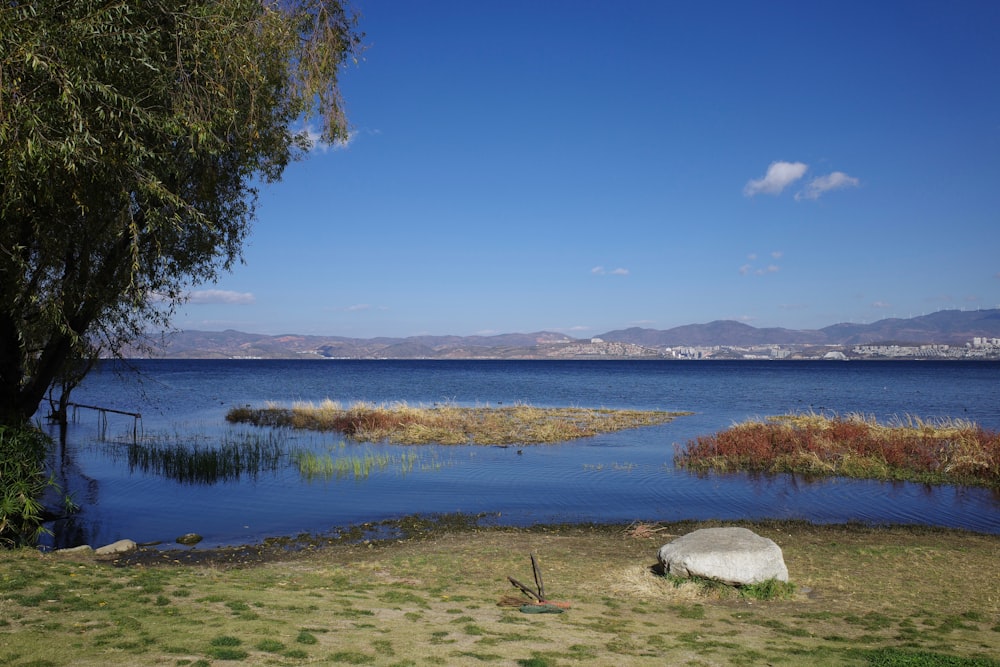 a large body of water surrounded by a lush green field