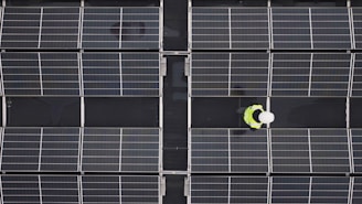 a person standing in front of a large array of solar panels