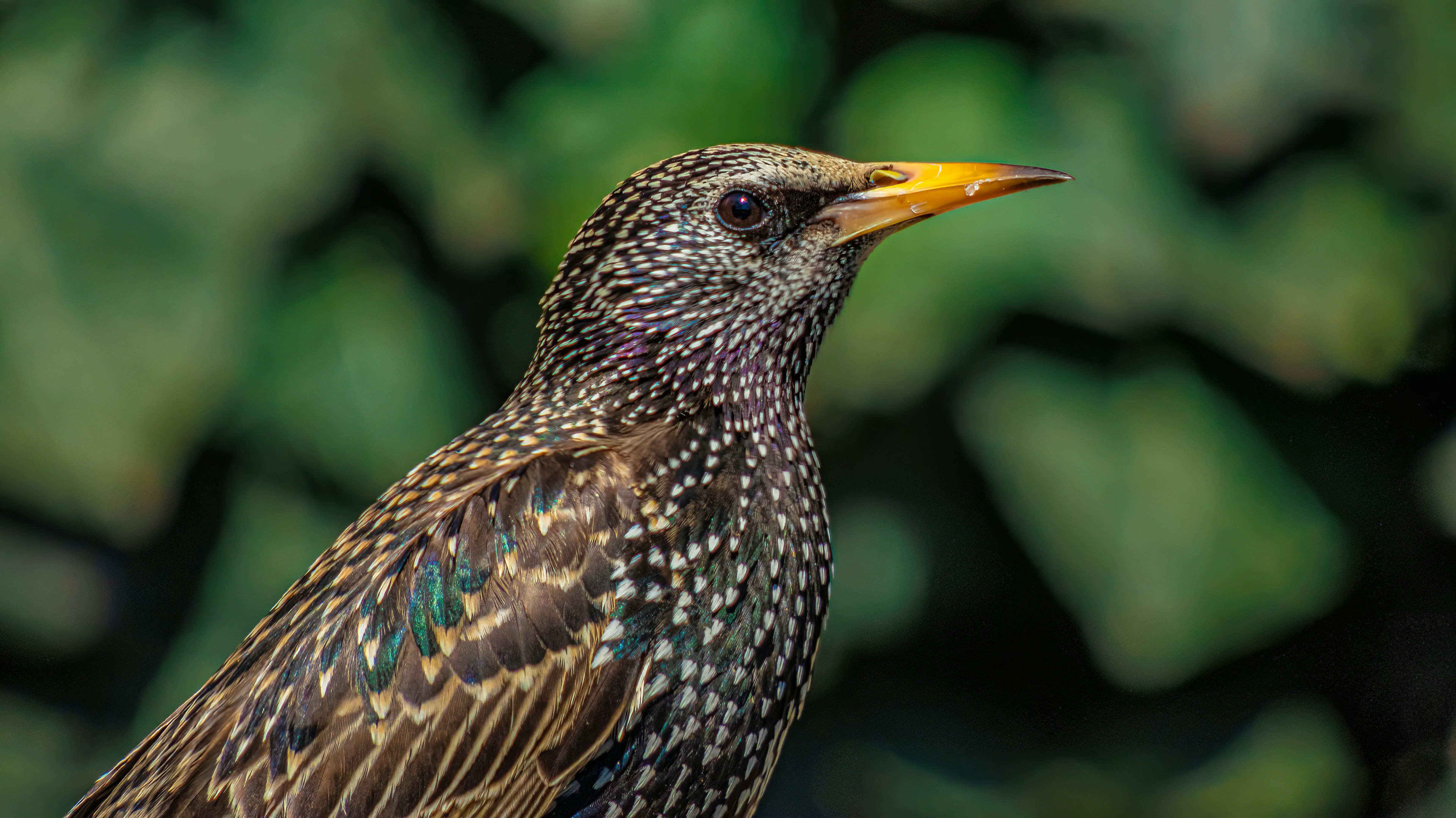 Photo by anotheroutsider