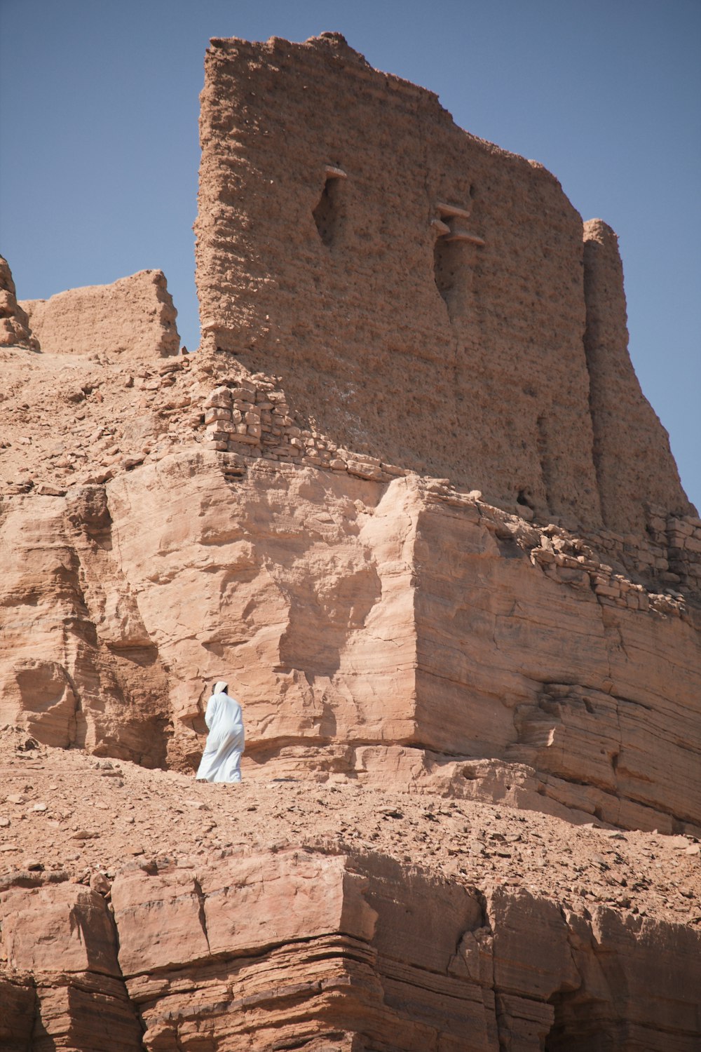 a white bird sitting on top of a rocky cliff