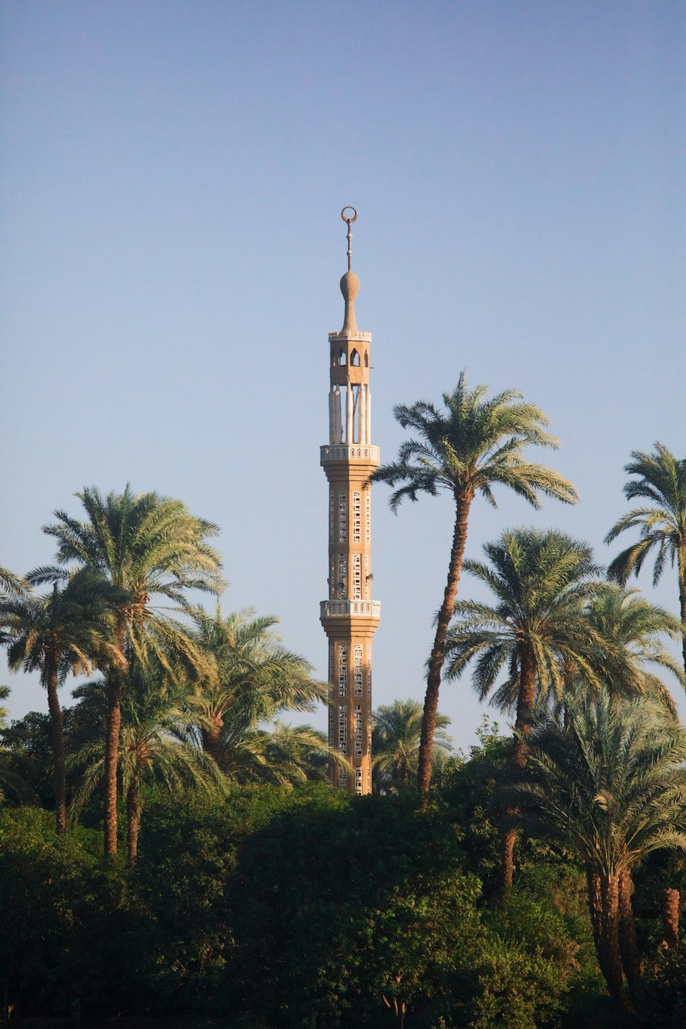 a tall tower with a clock on top surrounded by palm trees