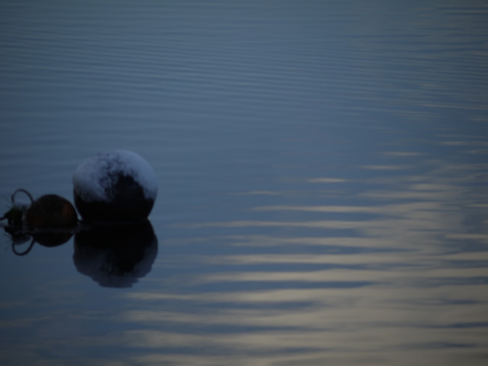 a snow covered rock in the middle of a body of water