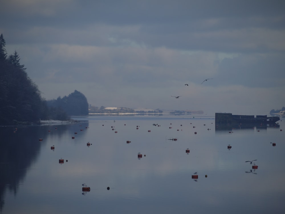 a large body of water surrounded by trees