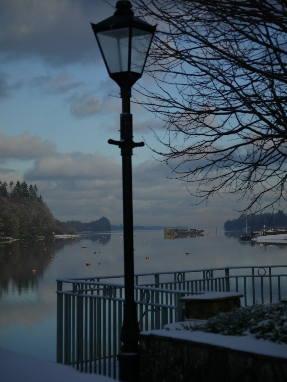 a street light sitting next to a body of water