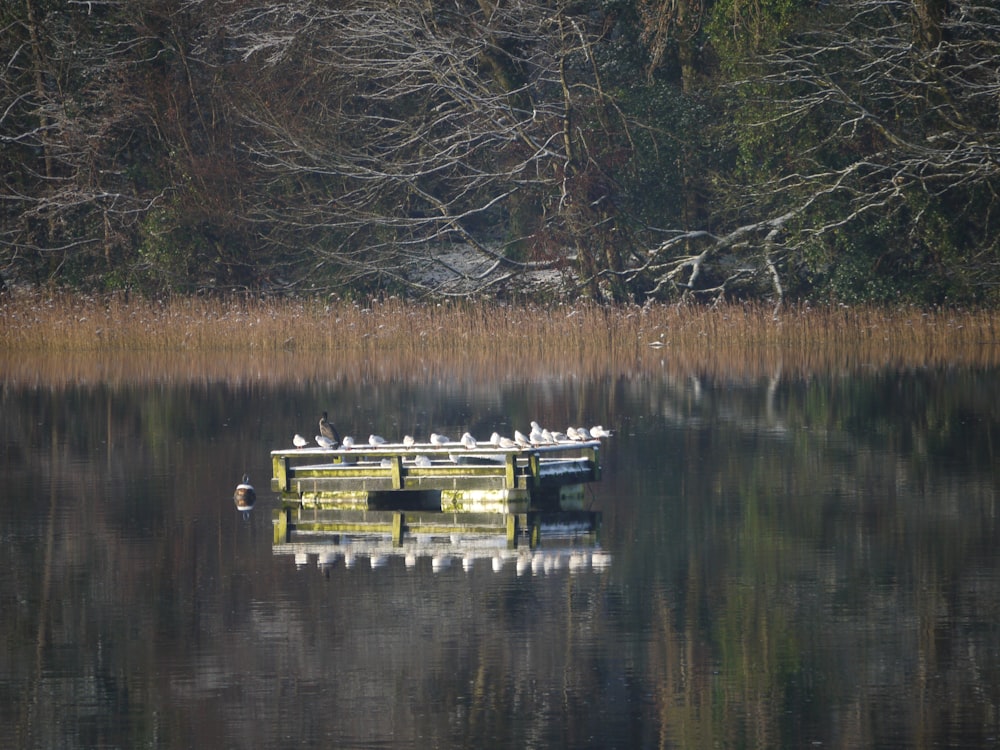 a boat with birds sitting on top of it in the water