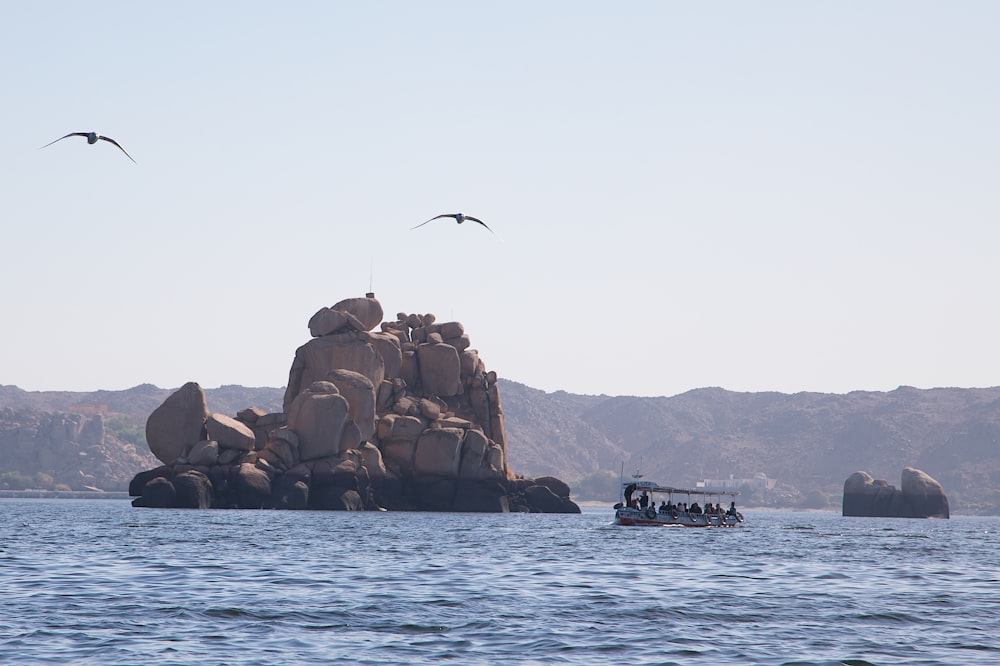 a group of birds flying over a body of water