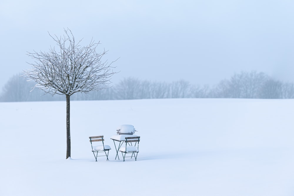 um par de cadeiras e uma mesa na neve