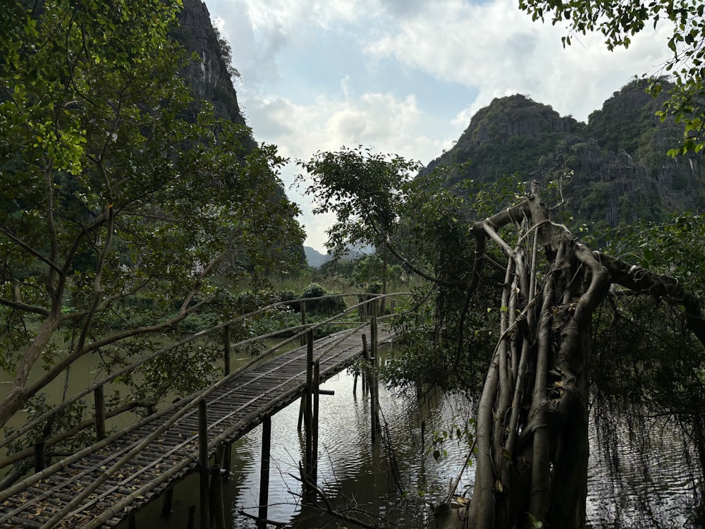 a wooden bridge over a river surrounded by trees