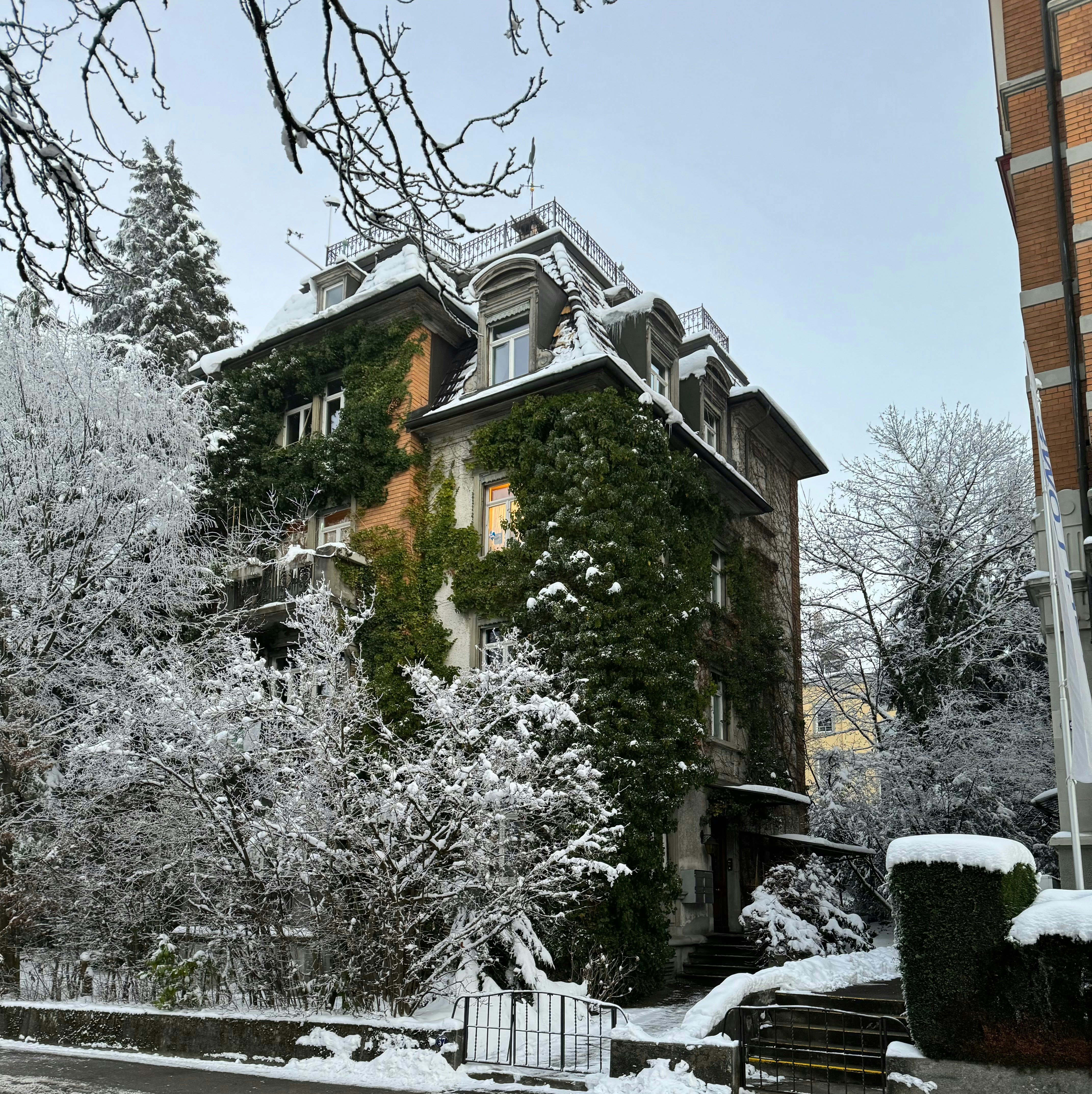 Photo by Albatros Aslan