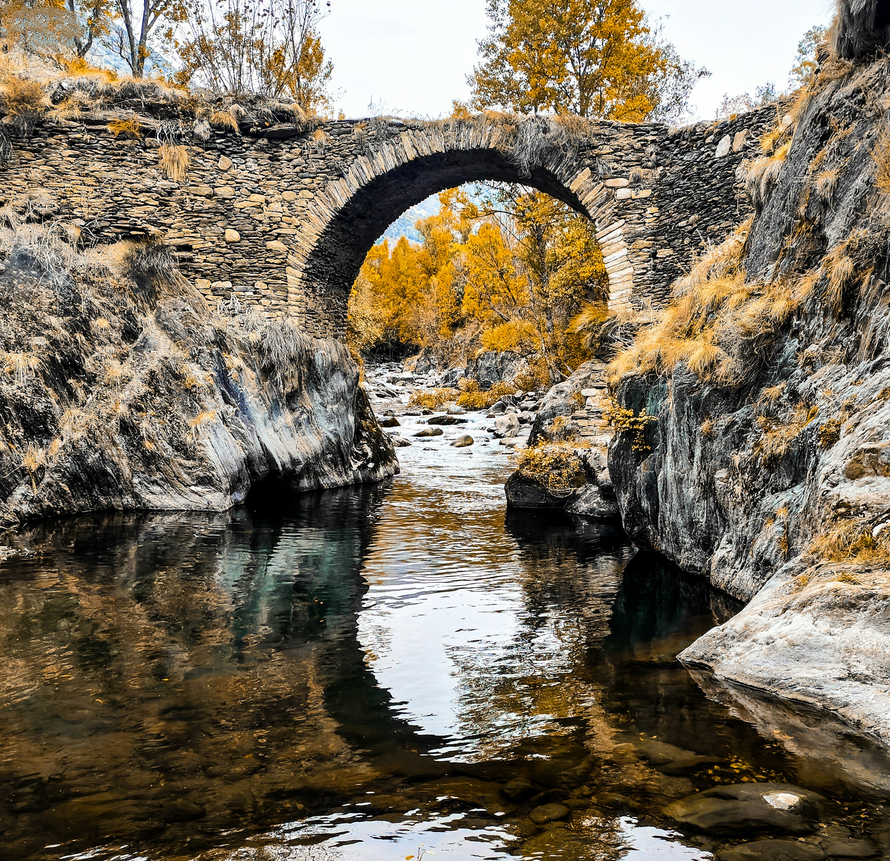 An ancient Romanesque bridge, gracefully spanning a gentle river, surrounded by the vibrant hues of an autumn forest.