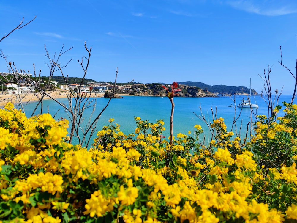 a view of a beach with yellow flowers in the foreground