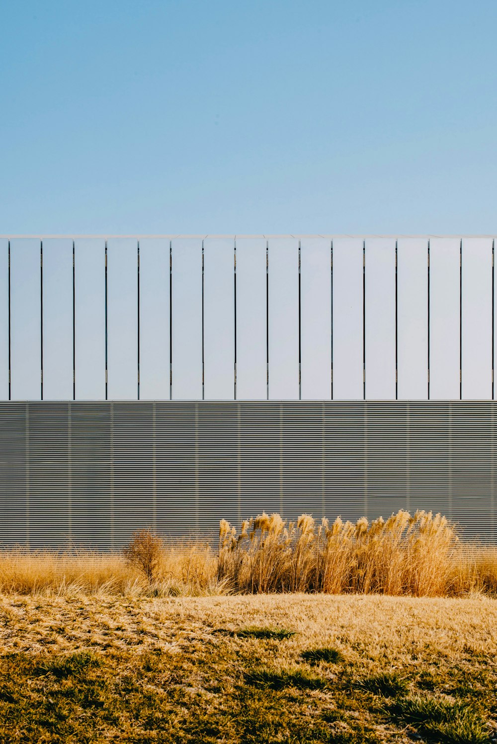 a field with grass and a fence in the background