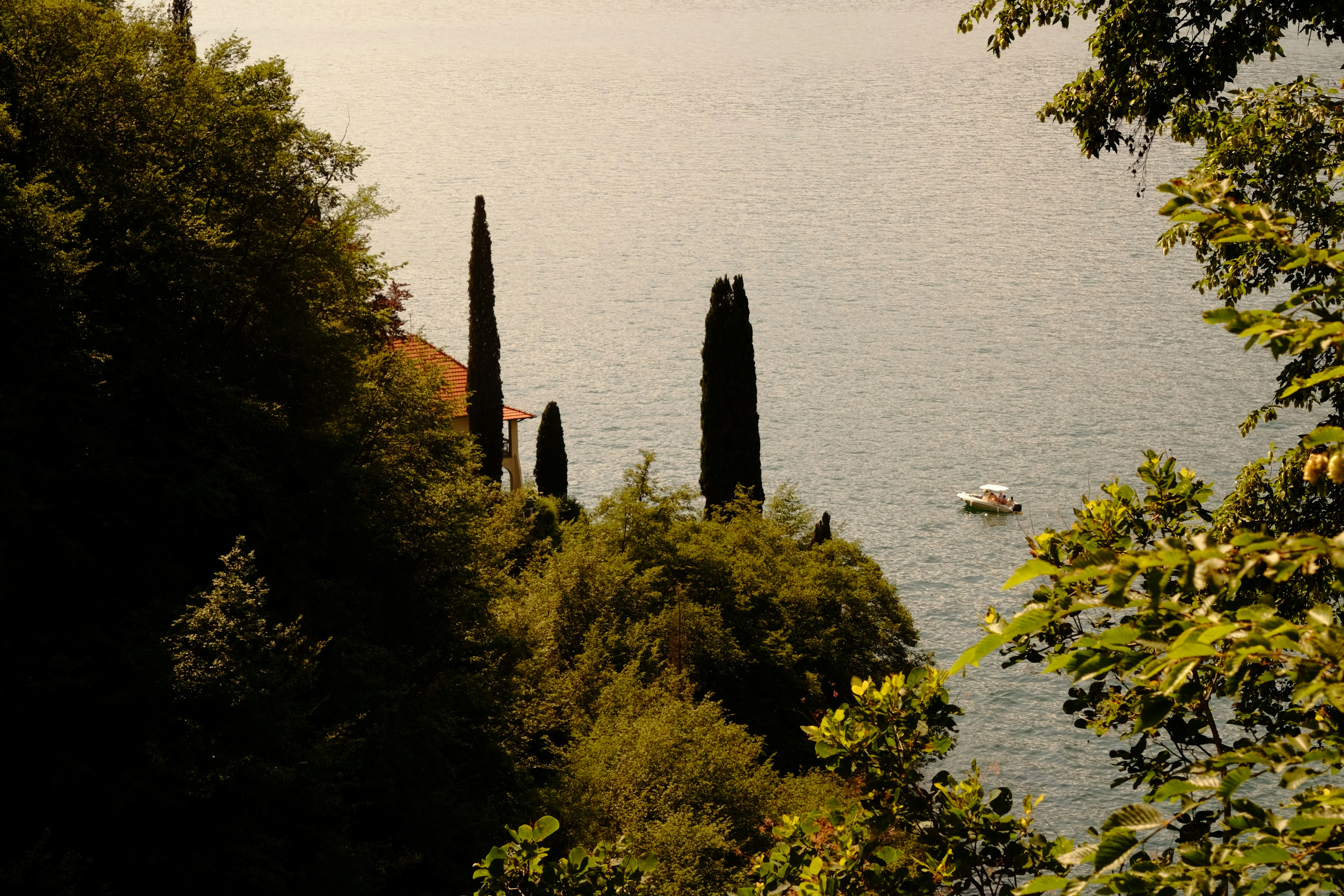 Maclearie Park