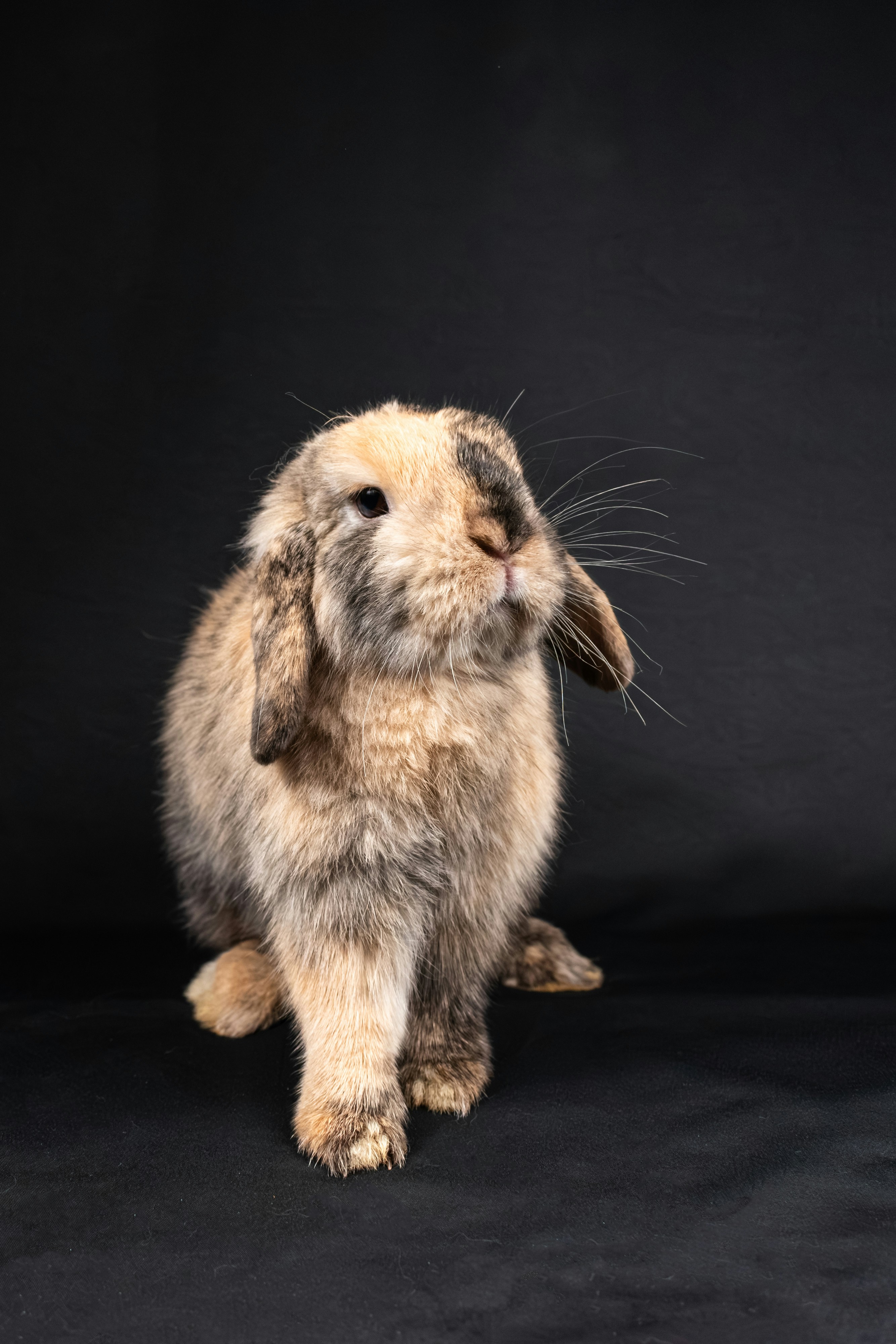 Photo by niki_emmert