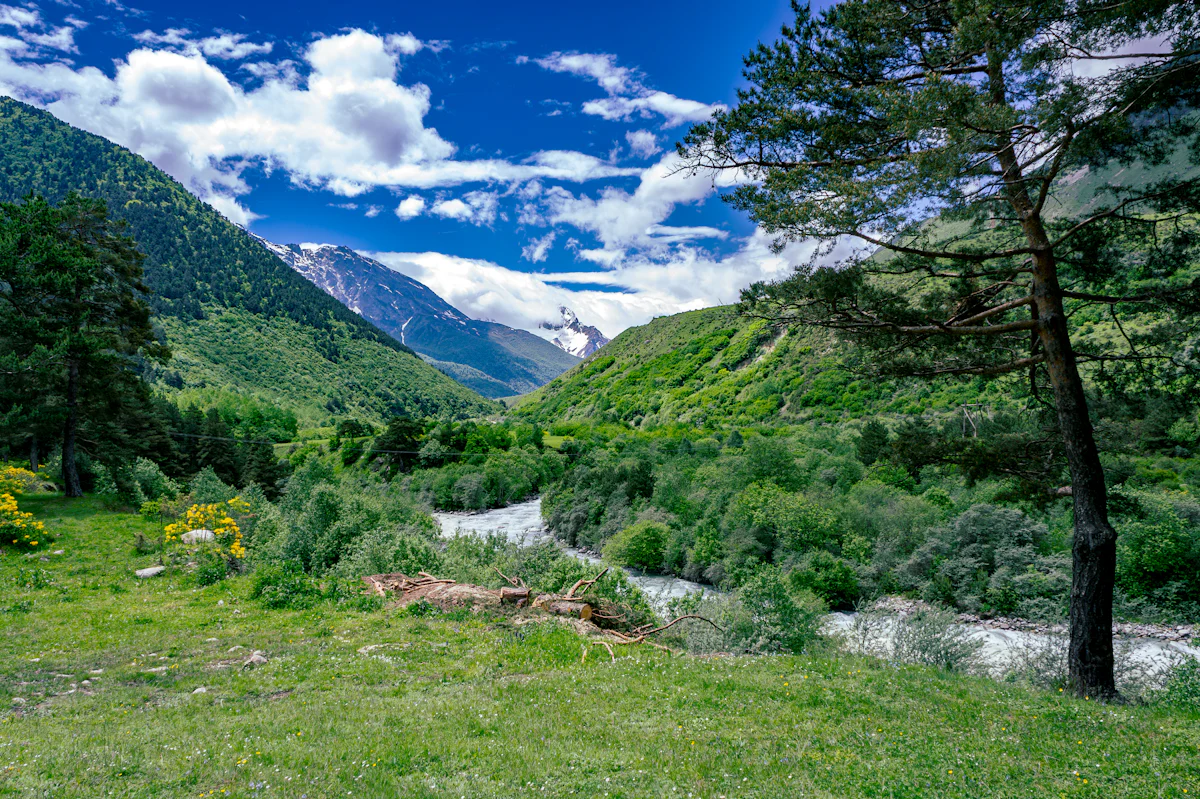 Silent Valley NP