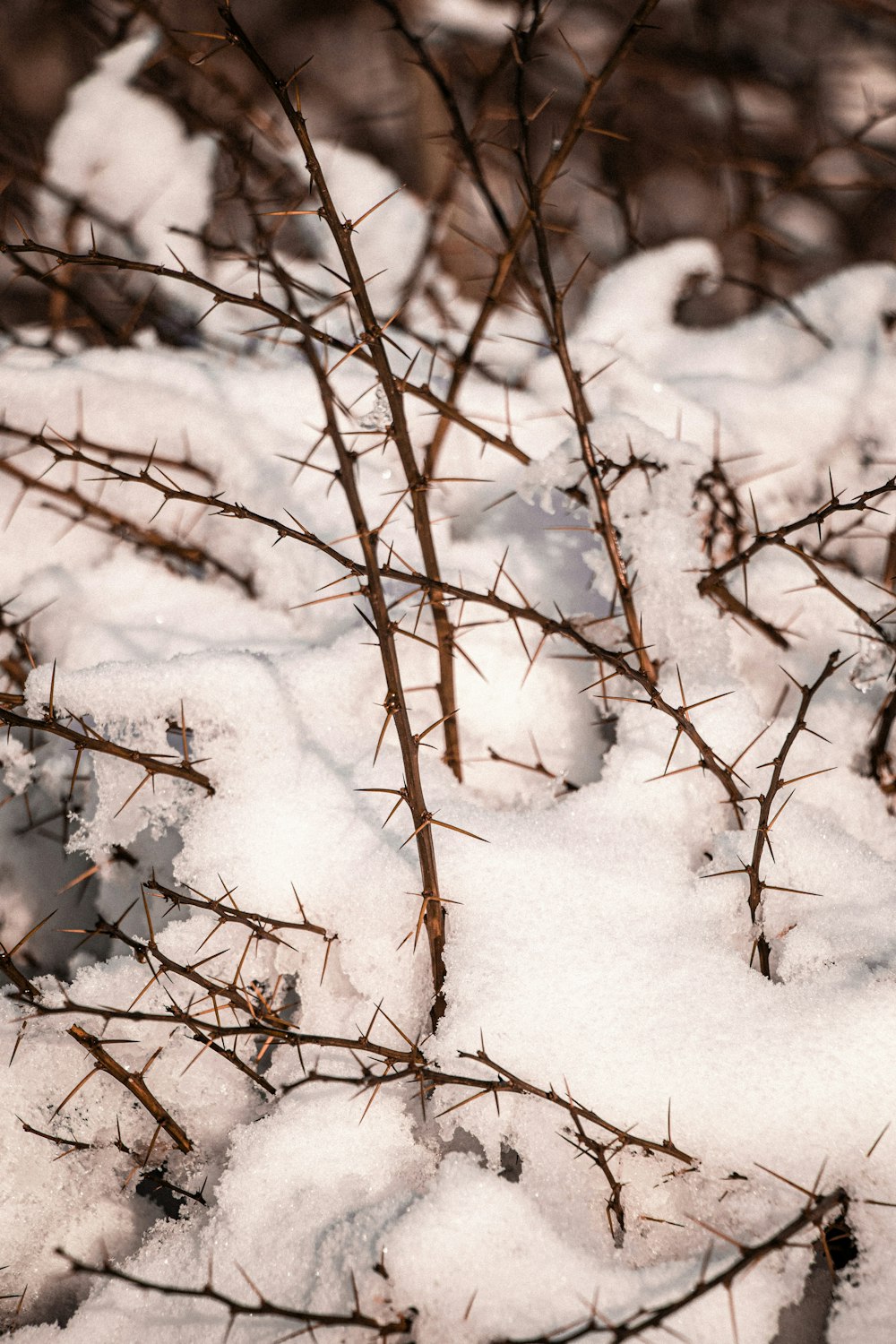 una boca de incendios roja sobre un suelo cubierto de nieve