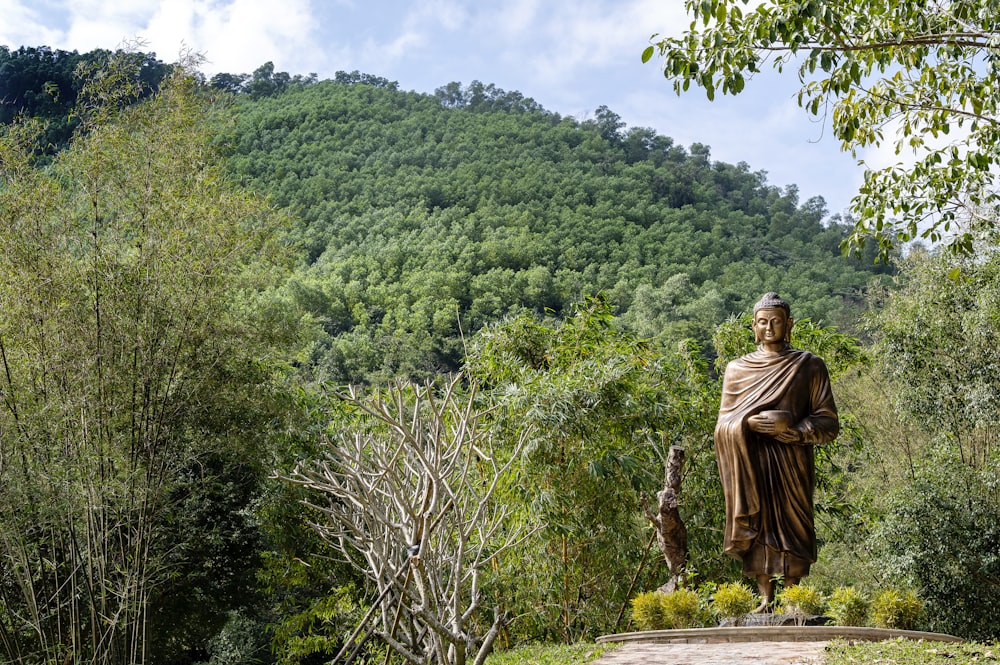 a statue of buddha in the middle of a forest