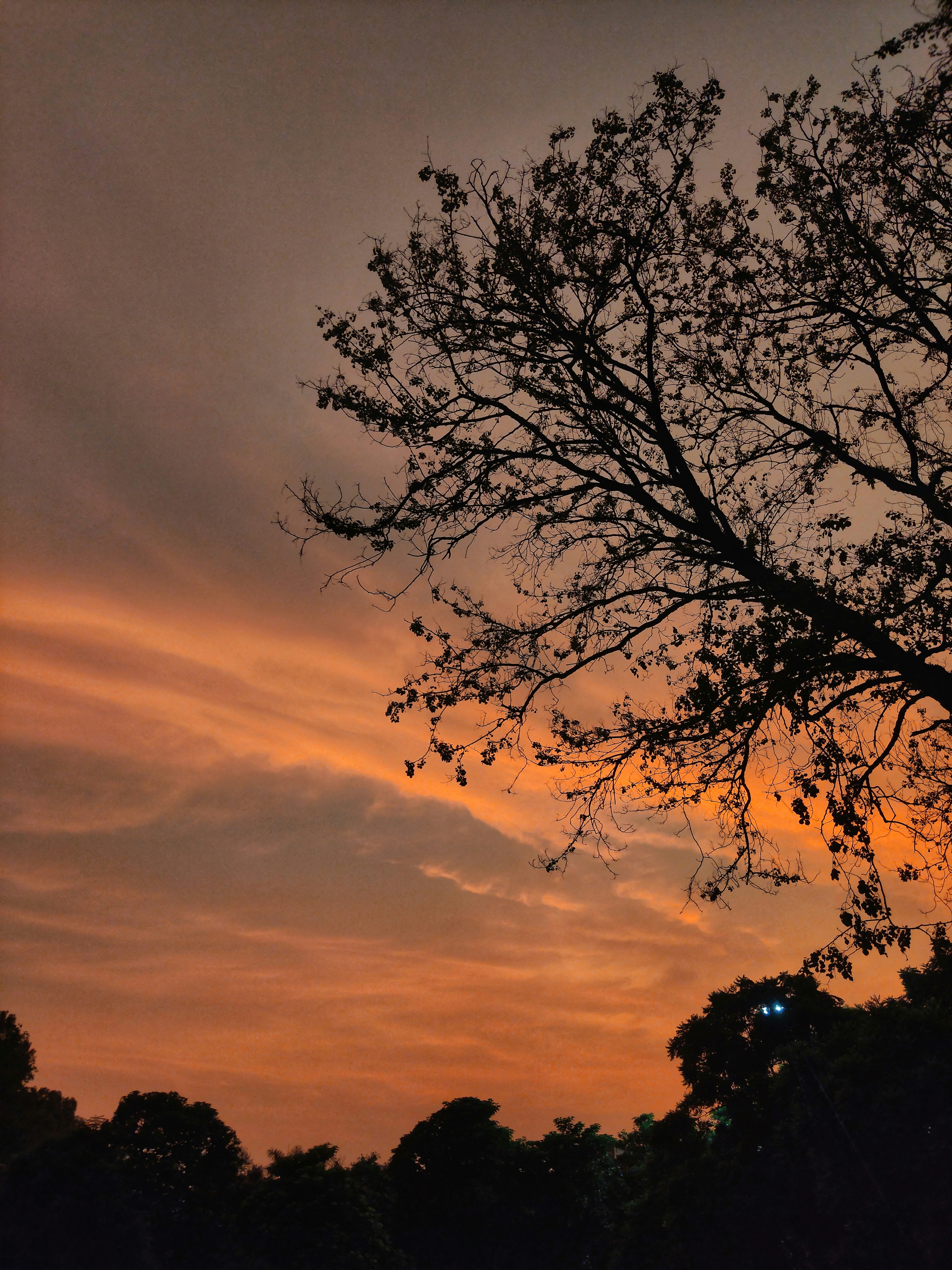Photo by vishakhanyol