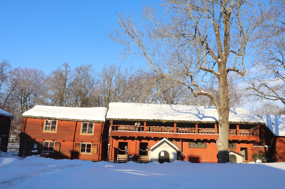 a house with a large tree in the snow