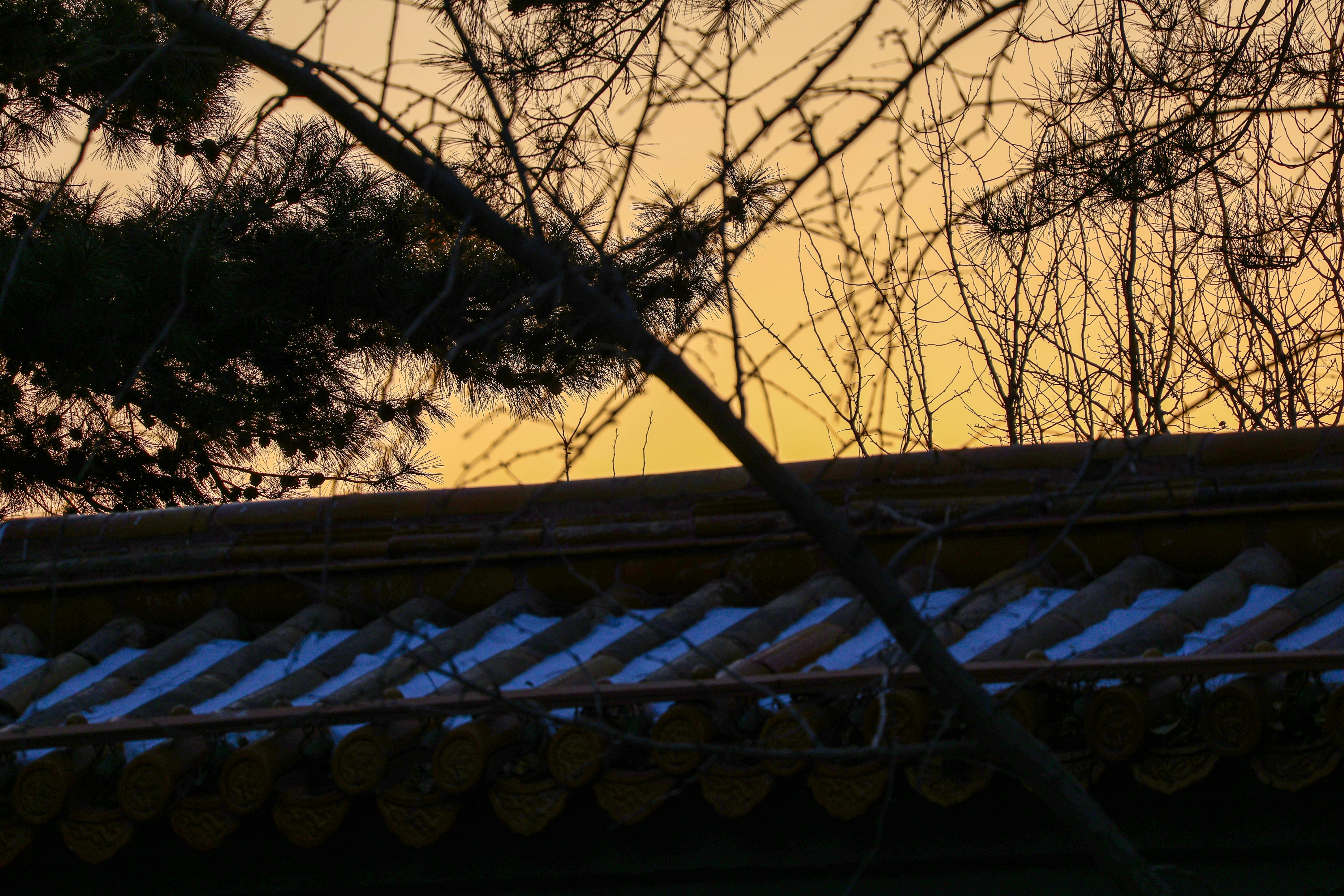Photo by psychoozz