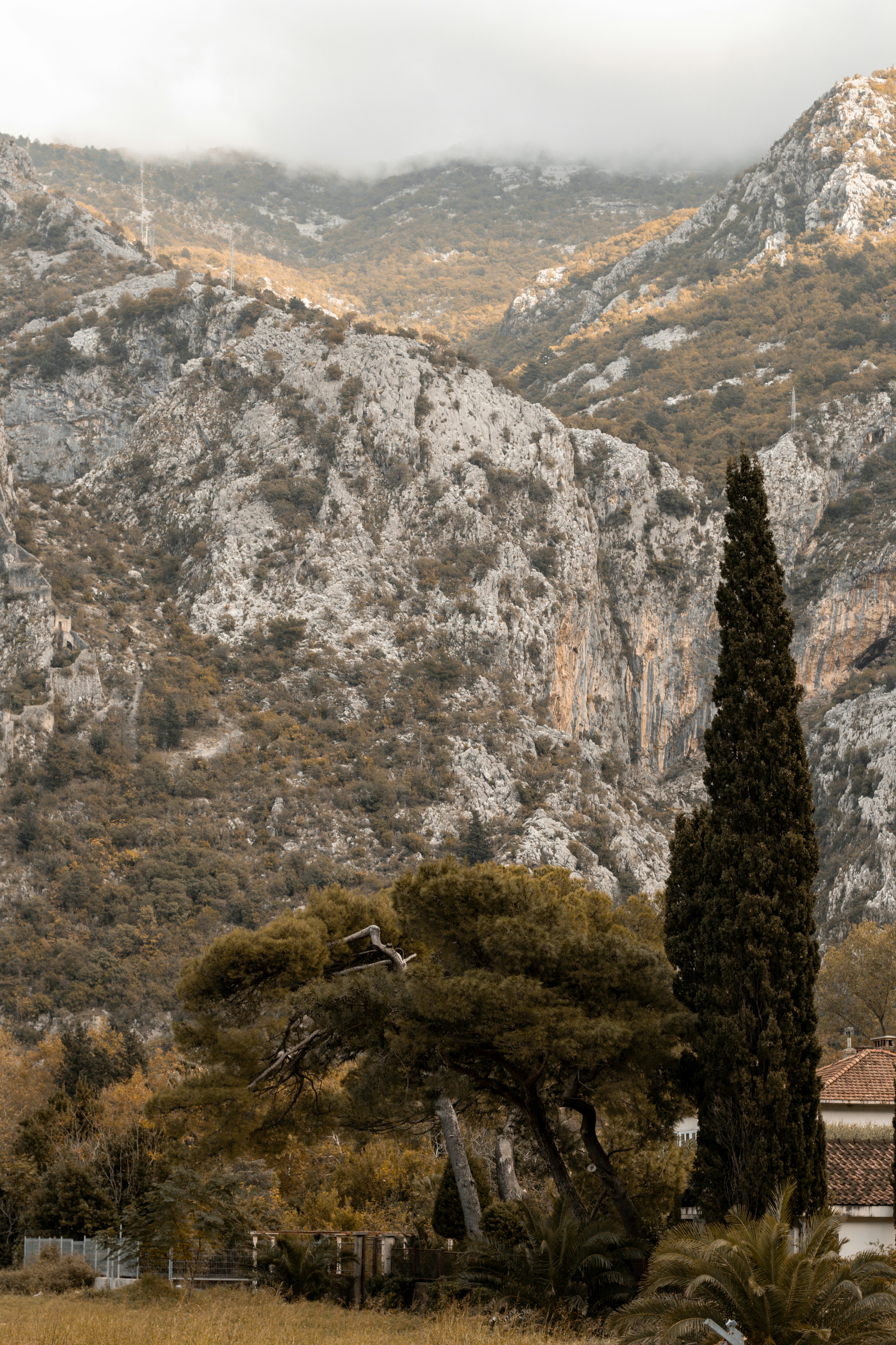 Photo by viktoriia_kondratiuk