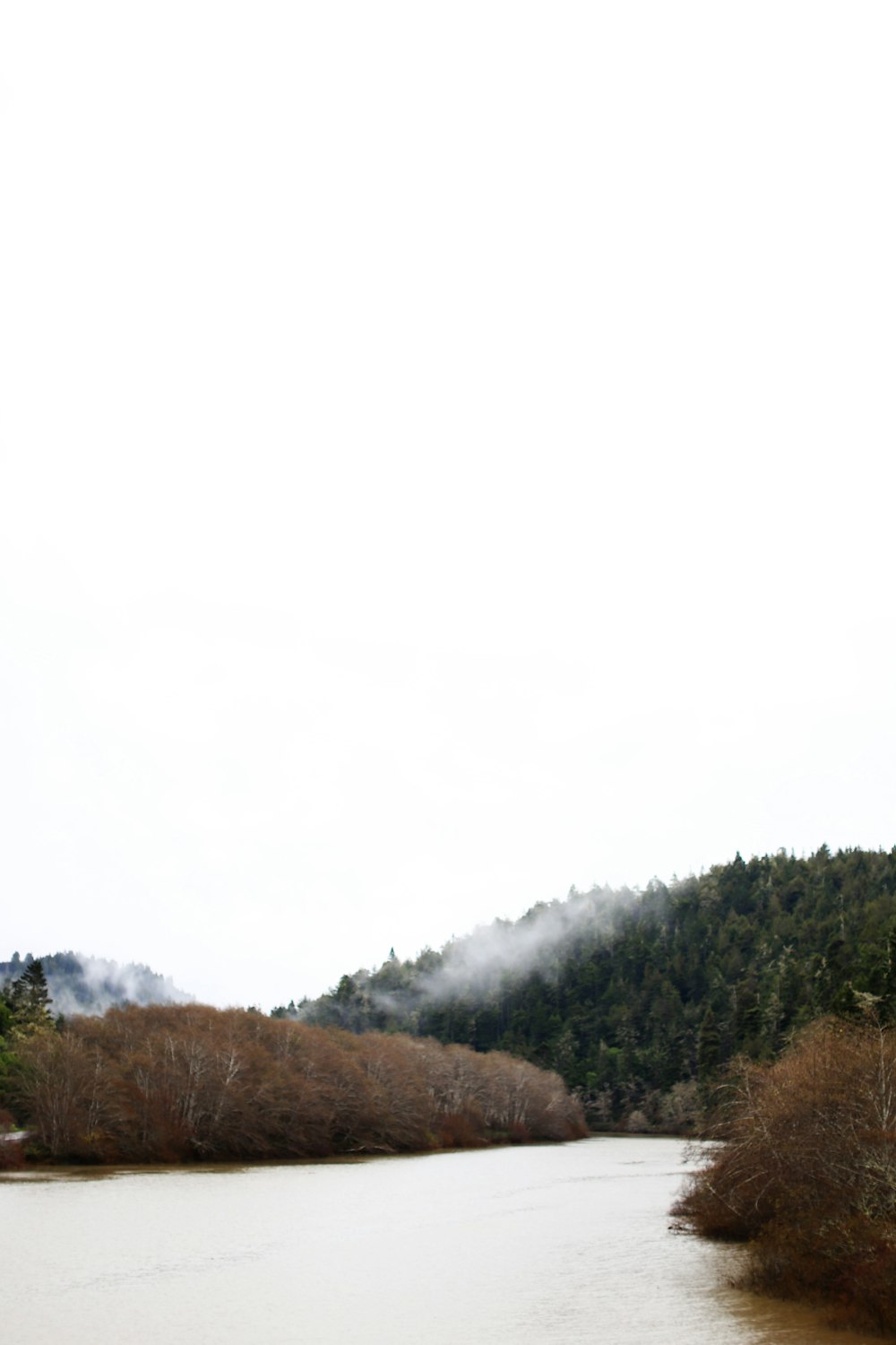 a large body of water surrounded by trees