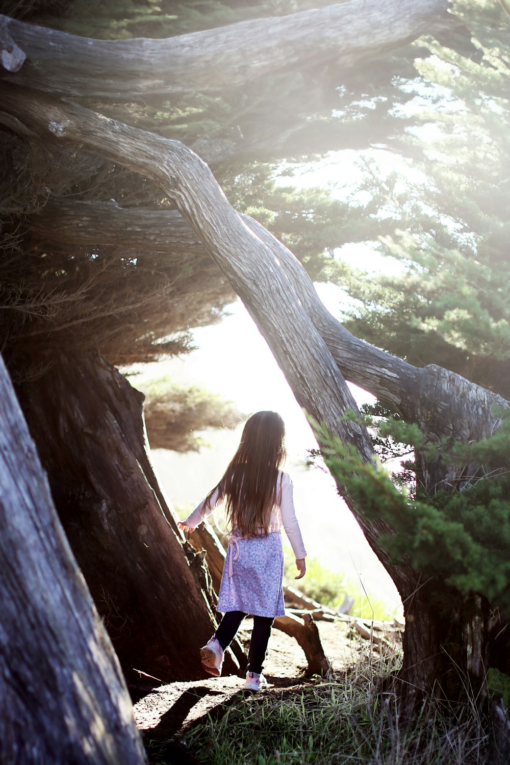 a little girl walking up a hill next to a tree